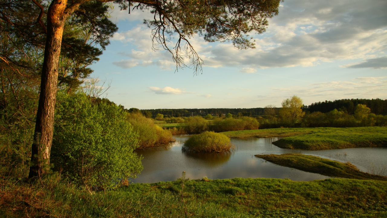 Обои природа, реки, водоем, вода, отражение в разрешении 1280x720