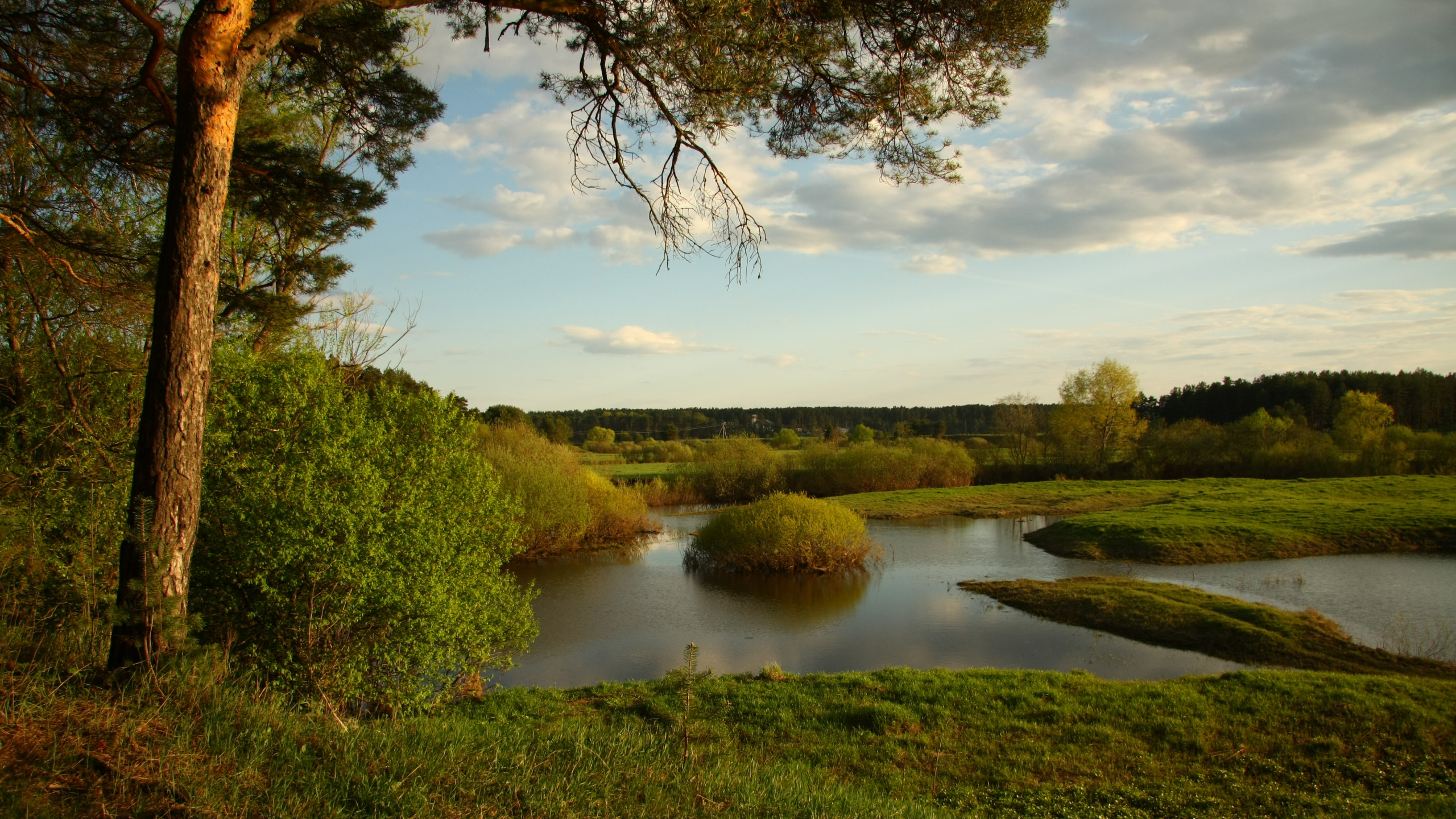 Обои природа, реки, водоем, вода, отражение в разрешении 2560x1440