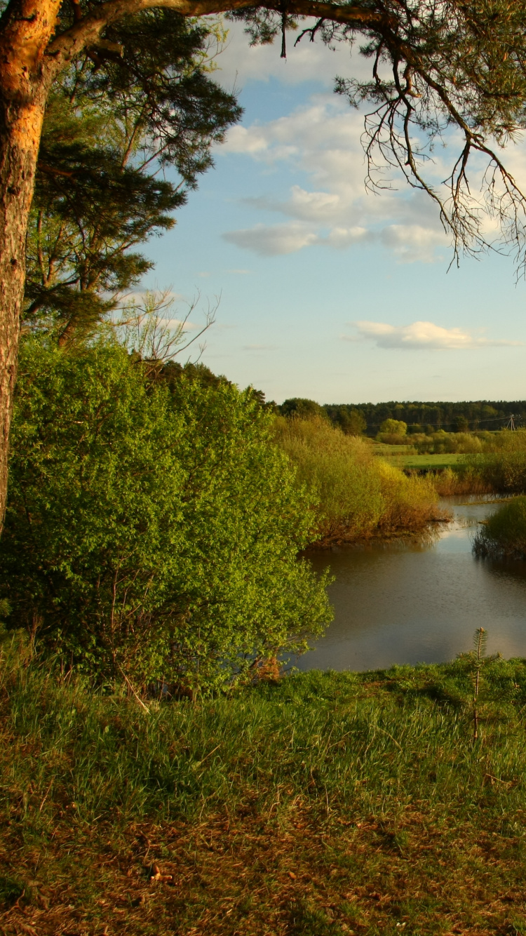 Обои природа, реки, водоем, вода, отражение в разрешении 750x1334