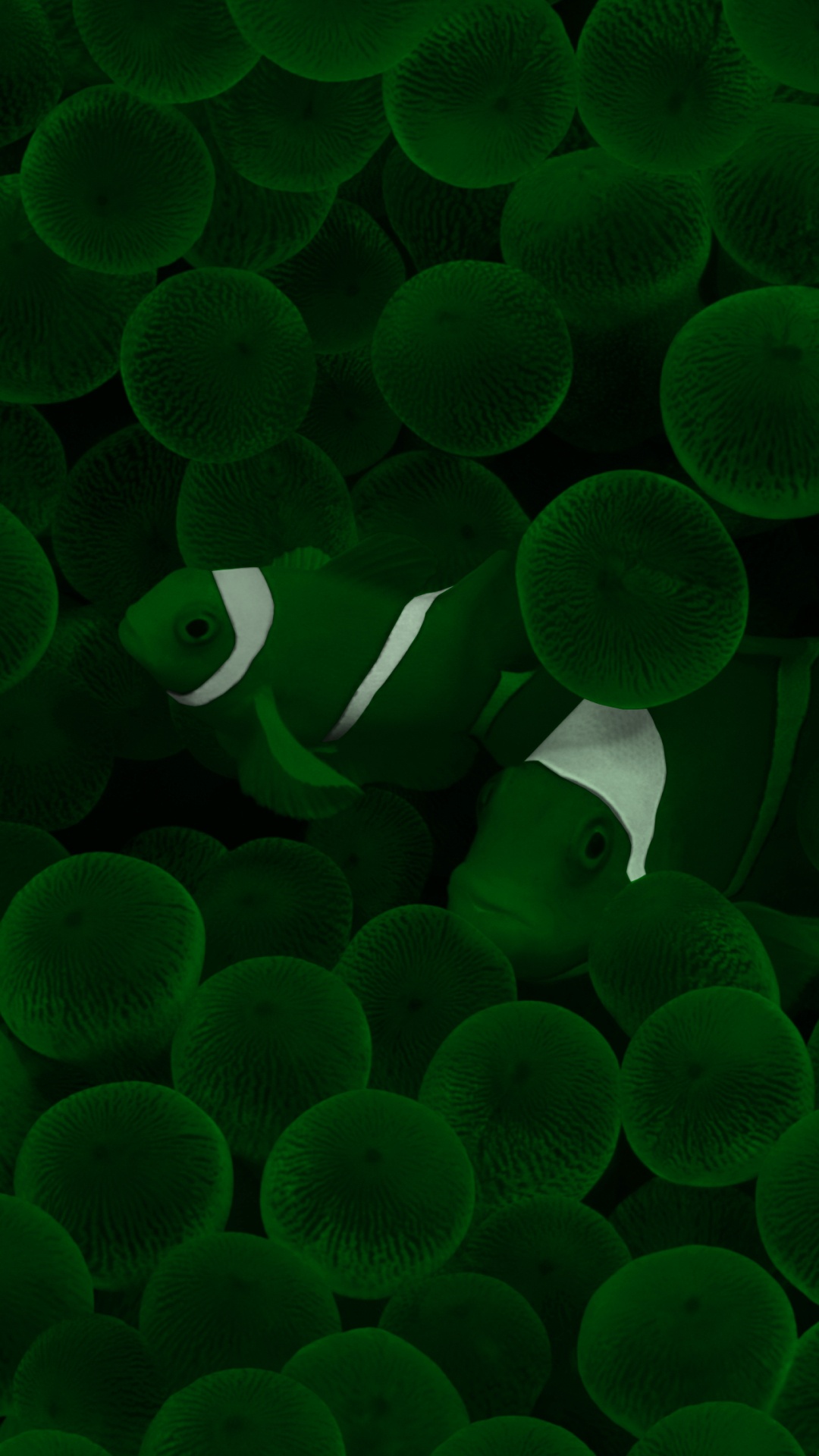 Обои рыба в море, вода, зеленый, свет, ботаники в разрешении 1080x1920