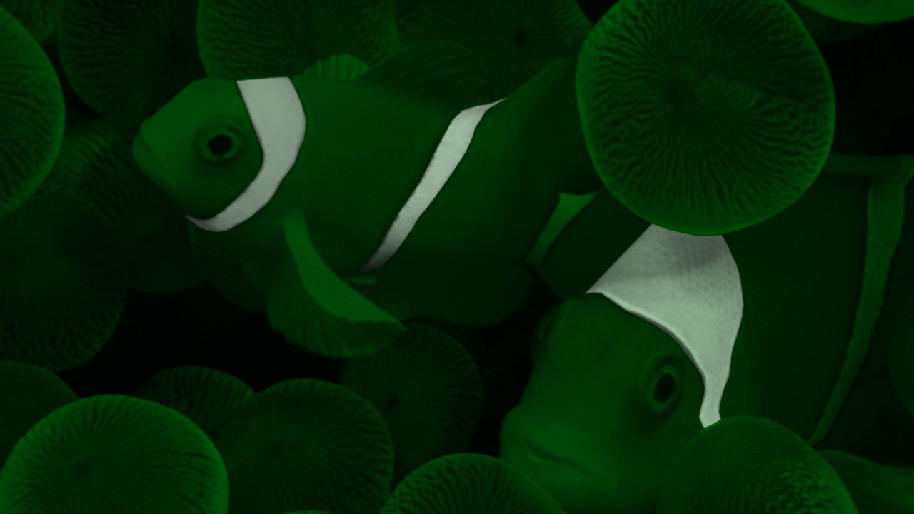 Обои рыба в море, вода, зеленый, свет, ботаники в разрешении 1280x720