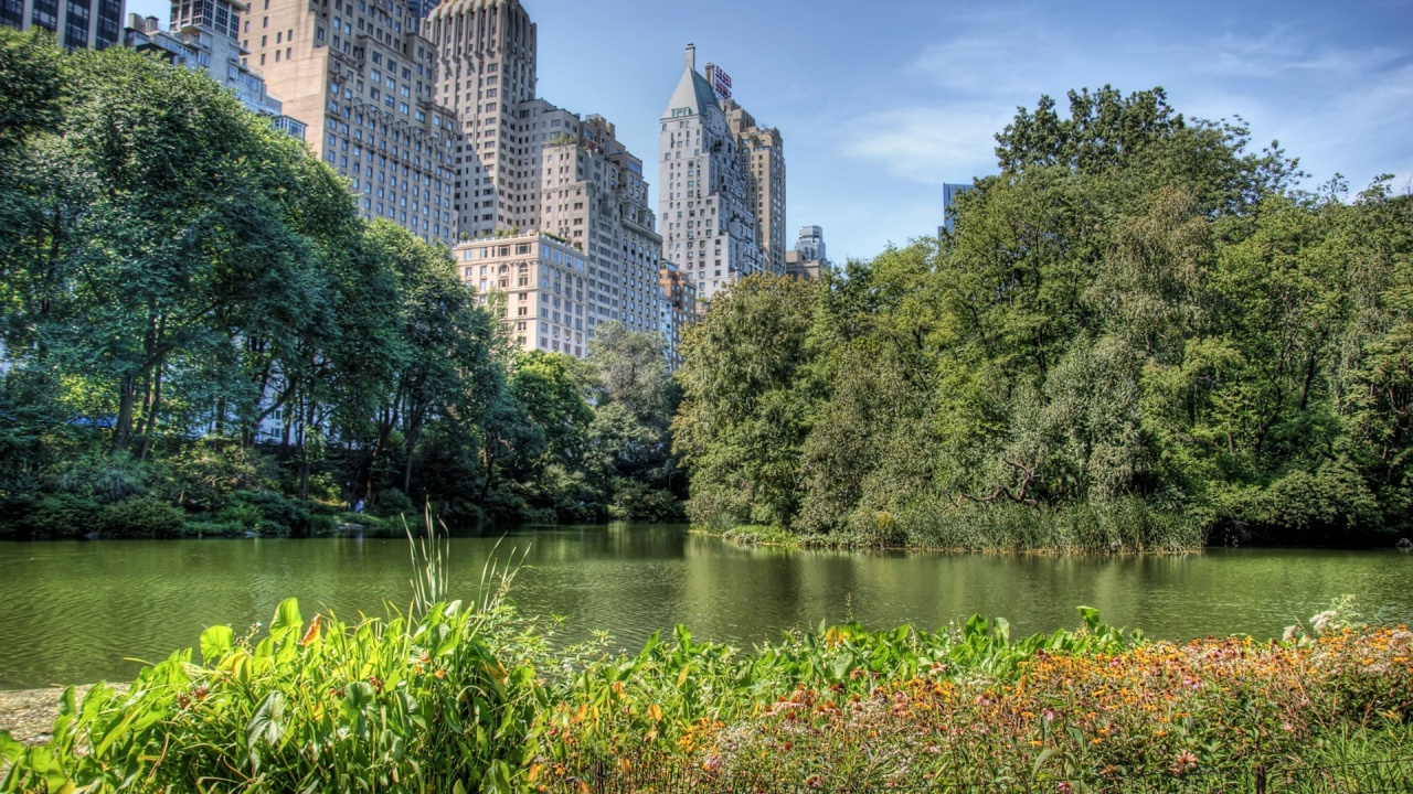 Обои природа, вода, растительность, водный путь, отражение в разрешении 1280x720