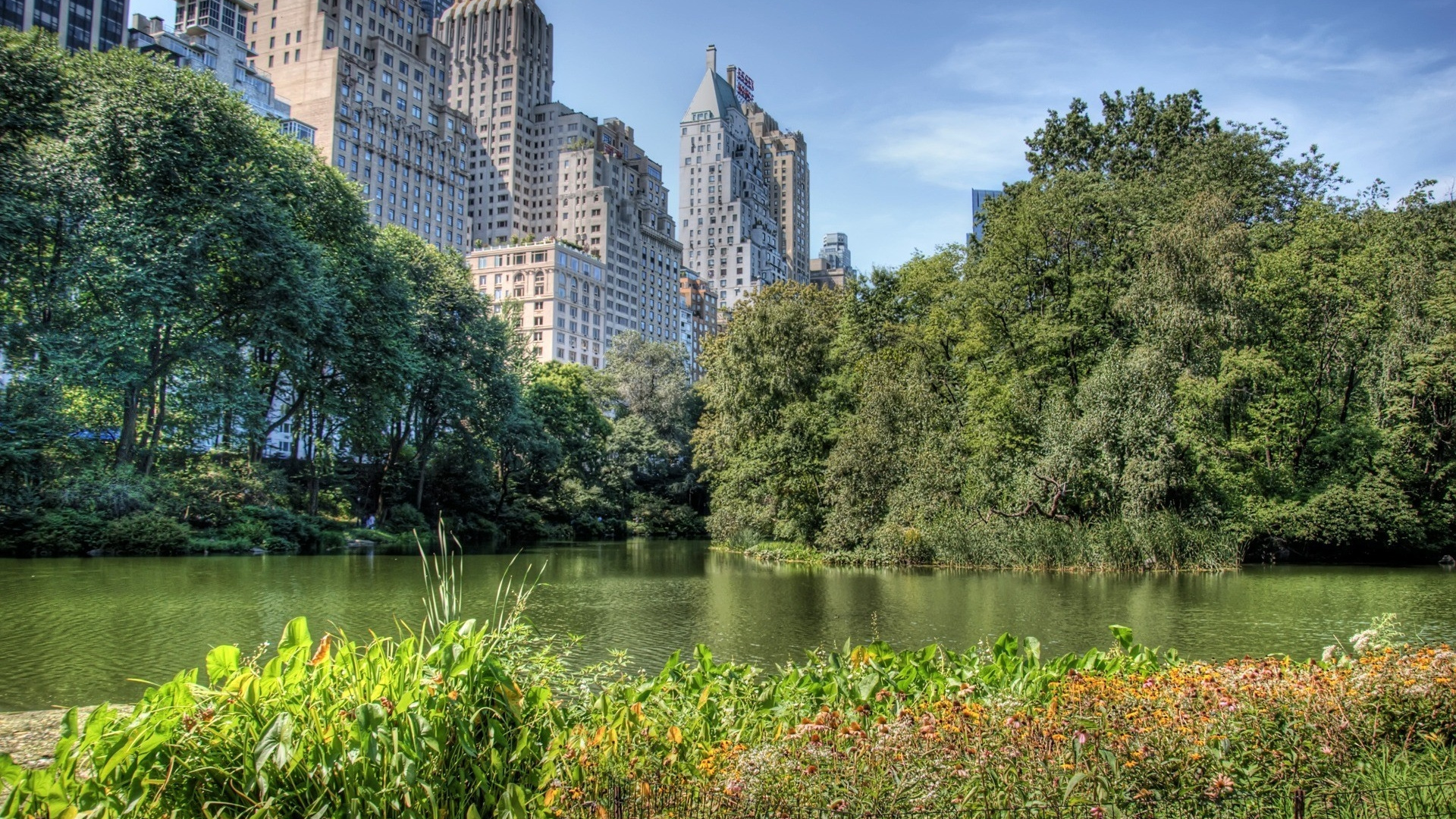 Обои природа, вода, растительность, водный путь, отражение в разрешении 1920x1080