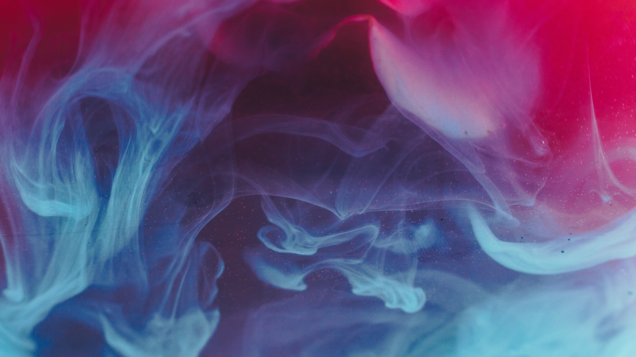 Обои синий, красный цвет, розовый, пурпур, вода в разрешении 2560x1440