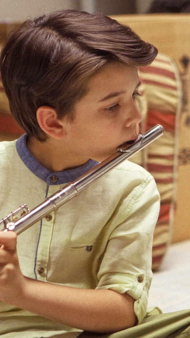 Обои такса, пес, Псовые, собака породы, приют для животных в разрешении 750x1334