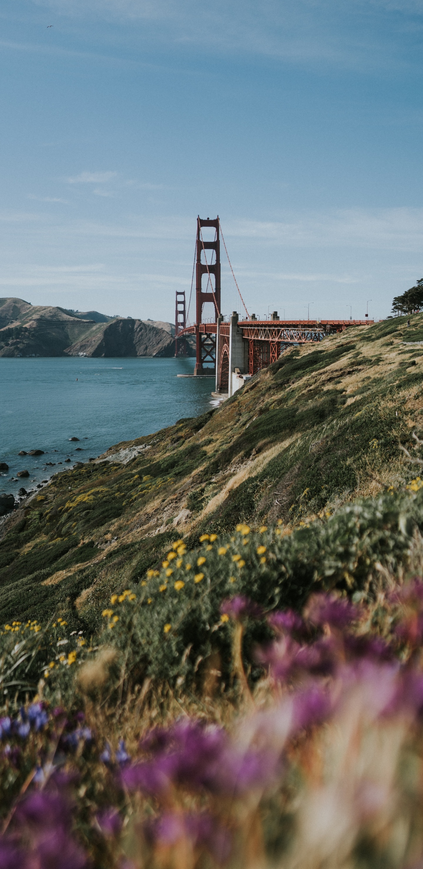 Обои мост Golden Gate, побережье, море, берег, нагорье в разрешении 1440x2960