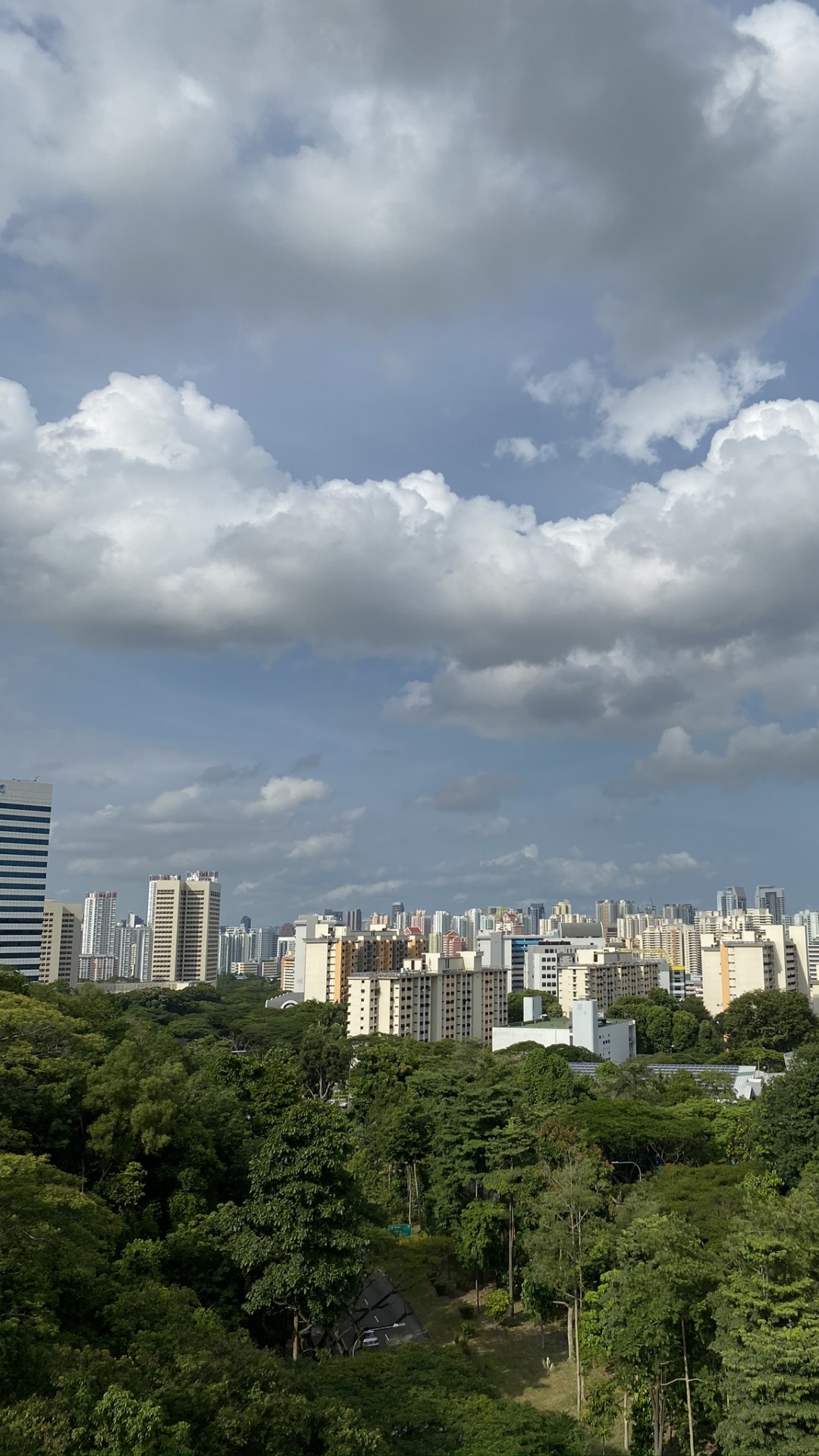 Обои растительность, дневное время, башня, облако, городской район в разрешении 1080x1920