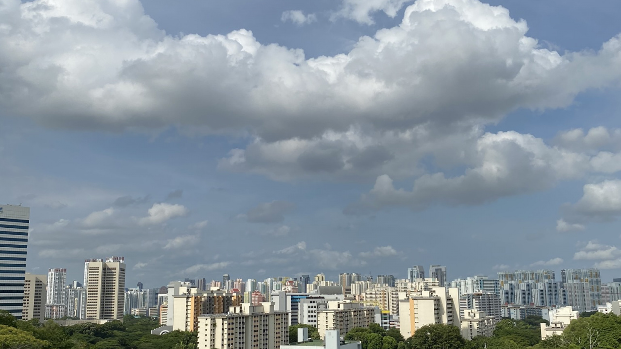 Обои растительность, дневное время, башня, облако, городской район в разрешении 1280x720