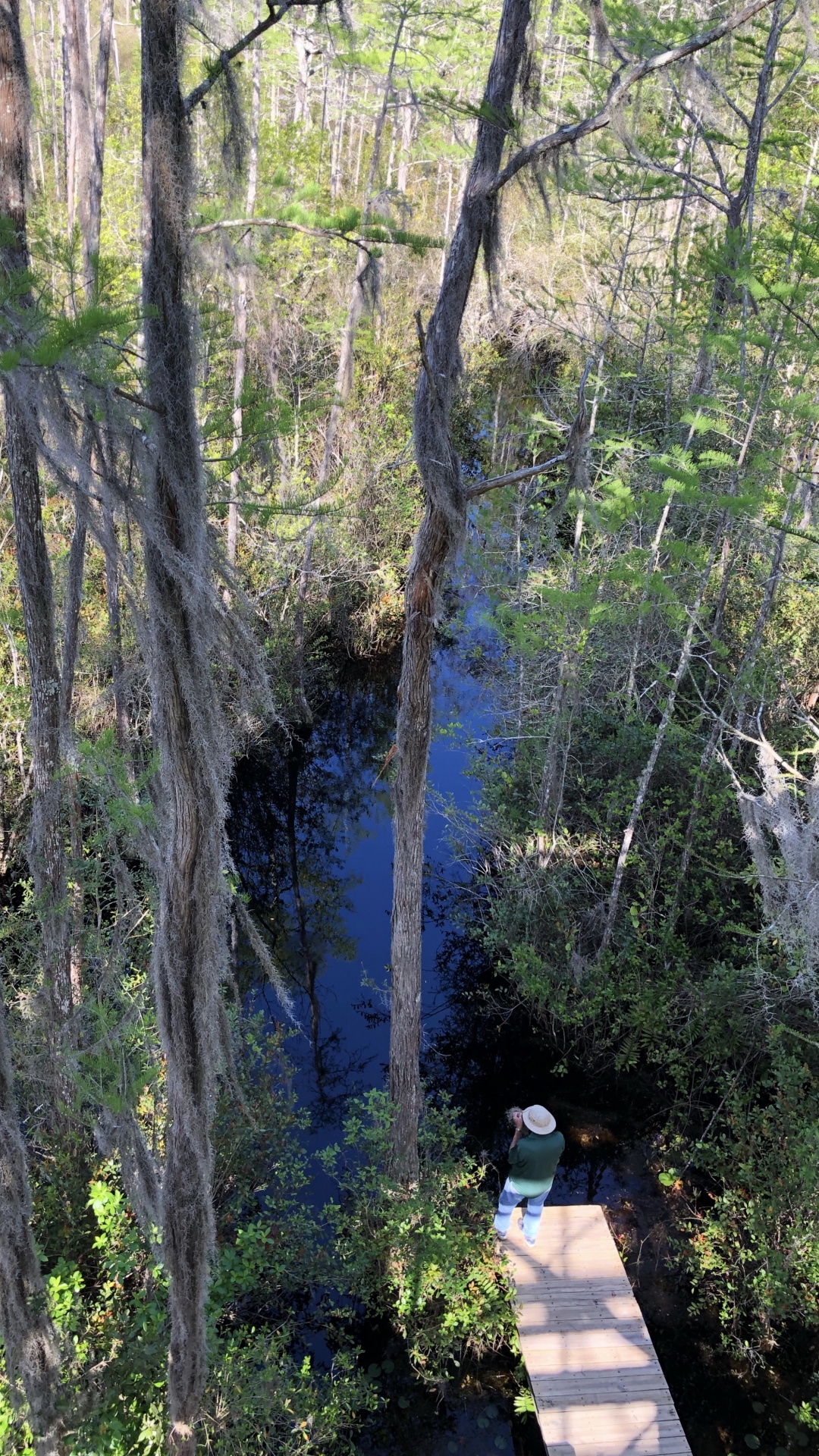 Обои природный заповедник, вода, растительность, природа, окружающая среда в разрешении 1080x1920
