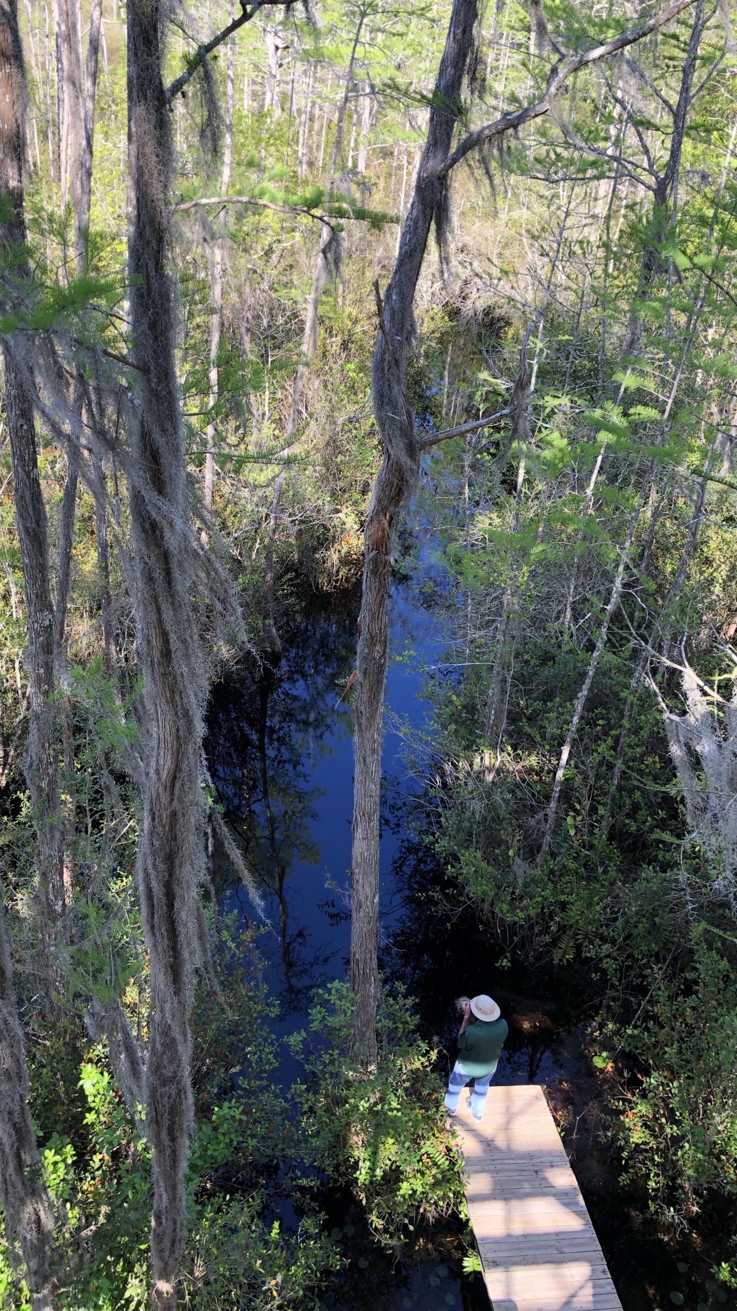 Обои природный заповедник, вода, растительность, природа, окружающая среда в разрешении 1440x2560