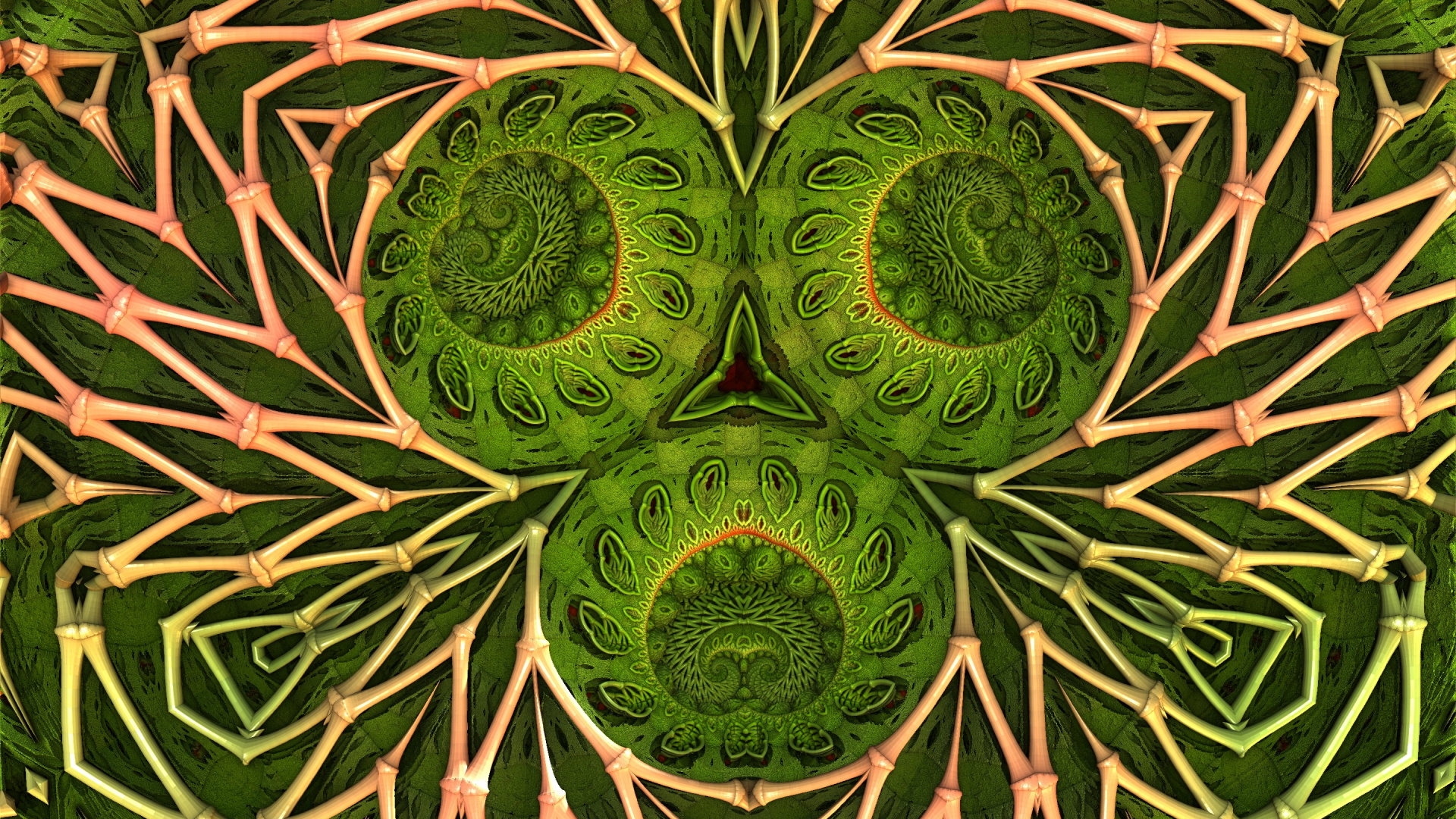 Обои узор, лист, ботаники, наземное растение, растительность в разрешении 1920x1080