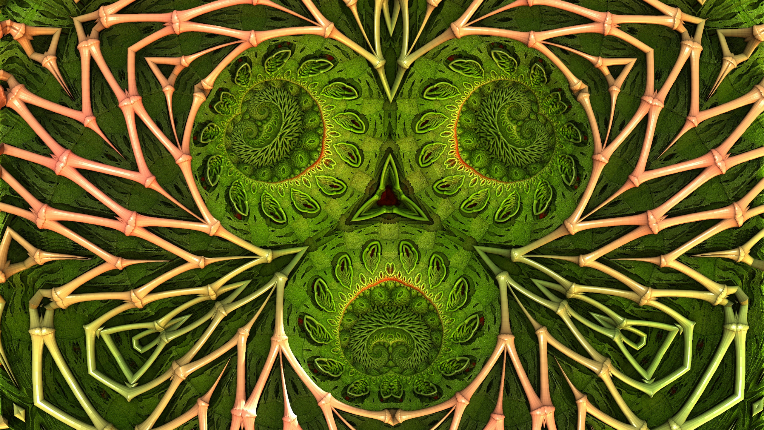 Обои узор, лист, ботаники, наземное растение, растительность в разрешении 2560x1440