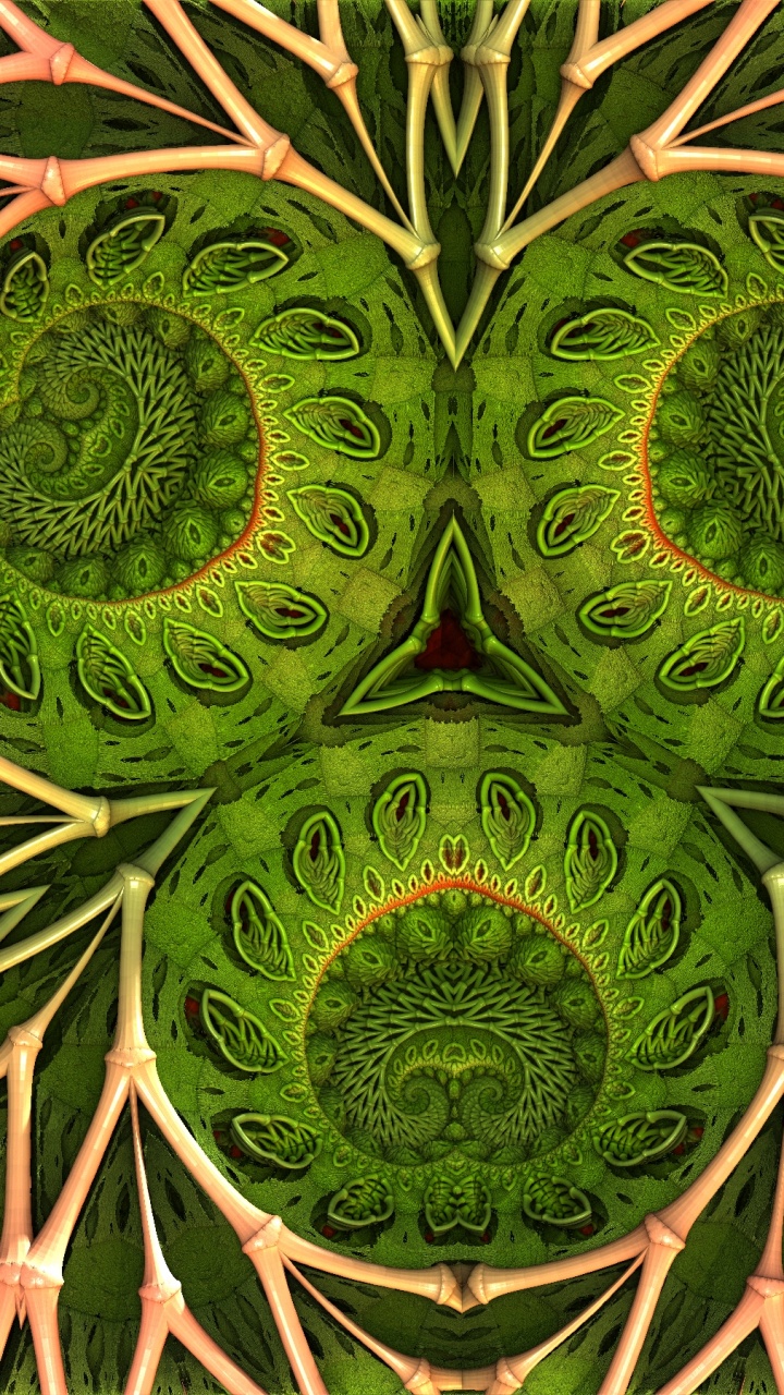 Обои узор, лист, ботаники, наземное растение, растительность в разрешении 720x1280