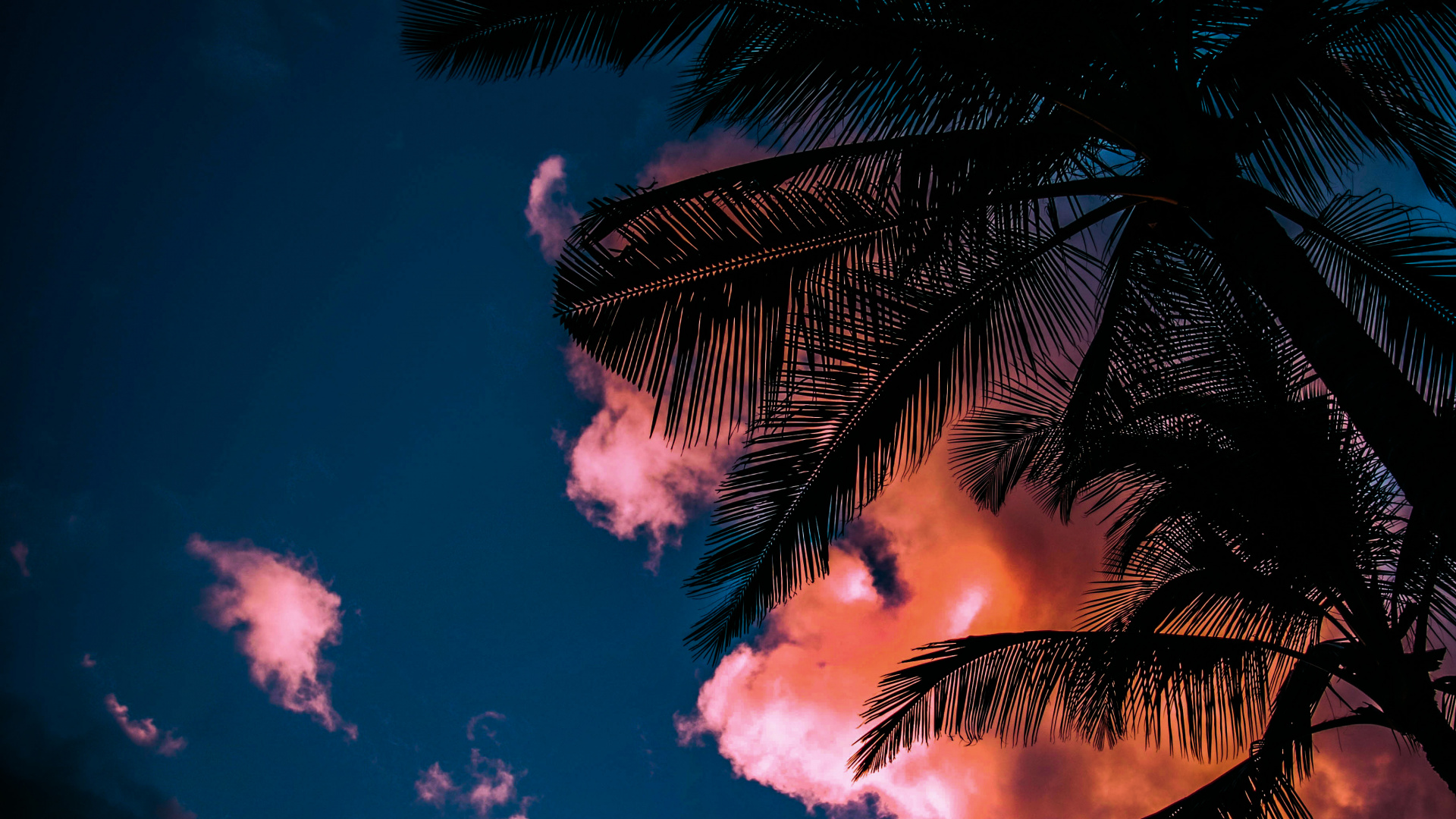 Обои лето, облако, атмосфера, дневное время, растение в разрешении 1920x1080