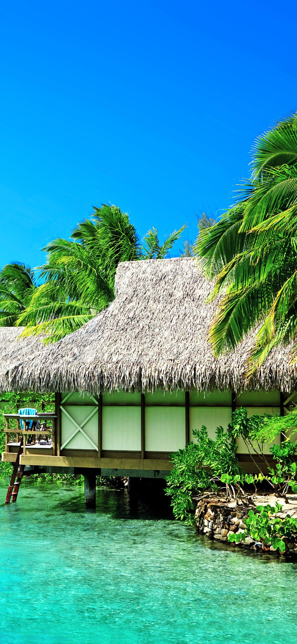 Обои природа, пляж, тропическая зона, природный ландшафт, море в разрешении 1125x2436