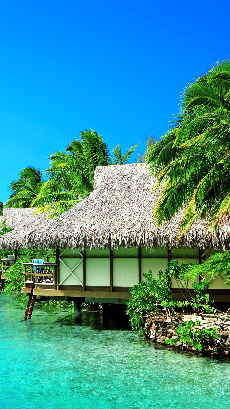 Обои природа, пляж, тропическая зона, природный ландшафт, море в разрешении 750x1334