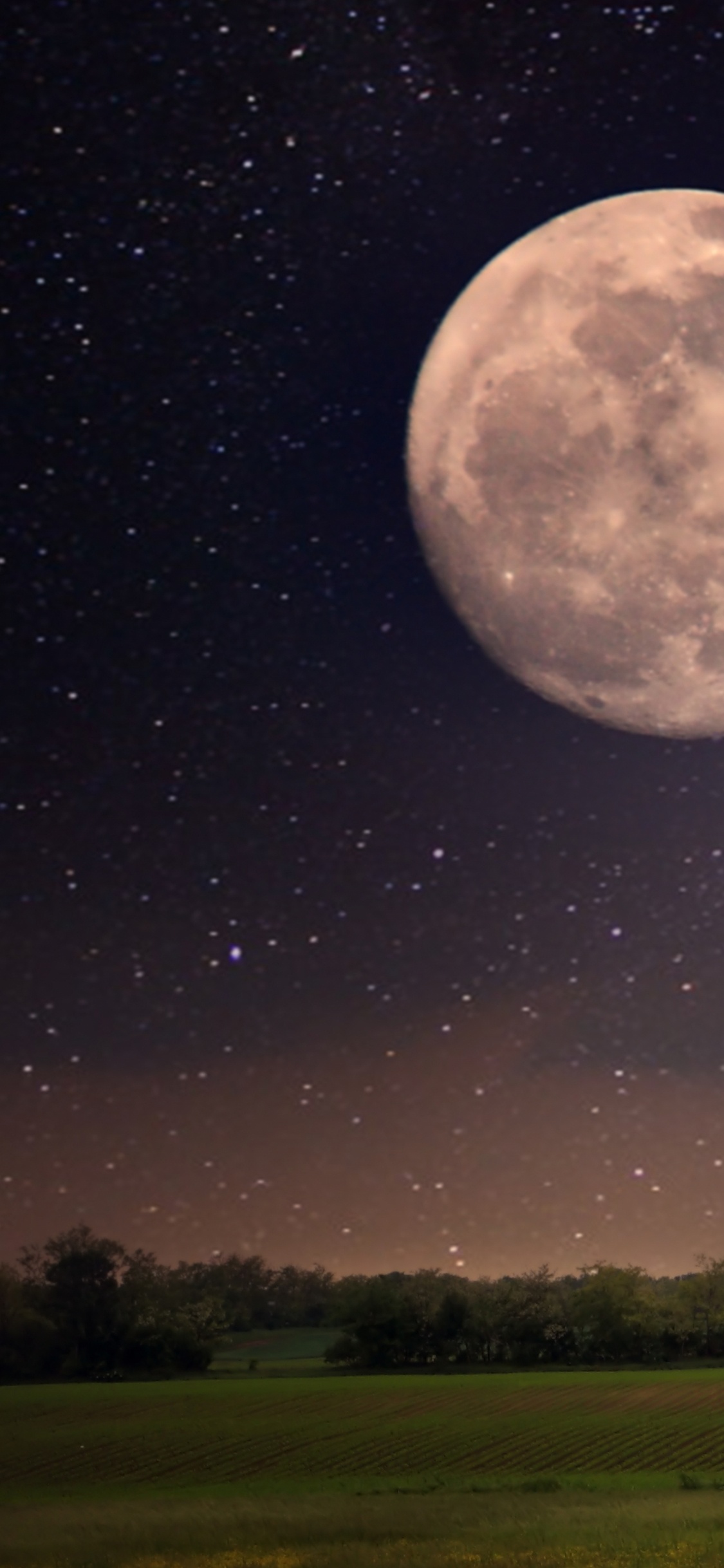 Обои луна, ночь, природа, астрономический объект, лунный свет в разрешении 1125x2436