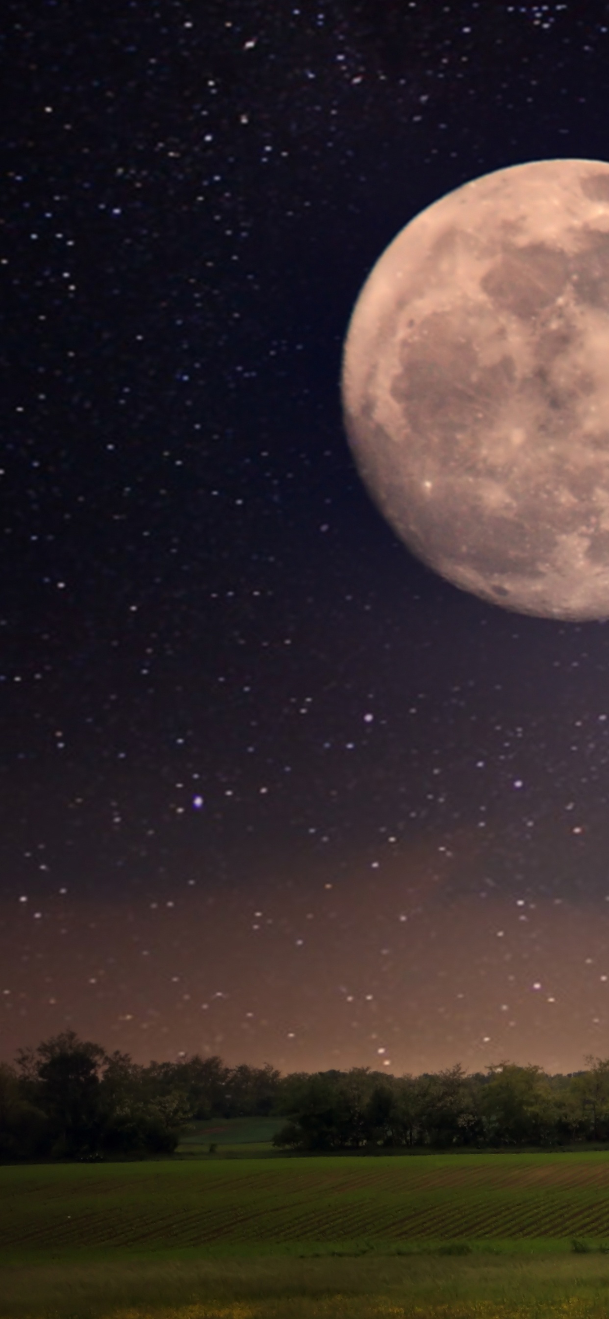 Обои луна, ночь, природа, астрономический объект, лунный свет в разрешении 1242x2688