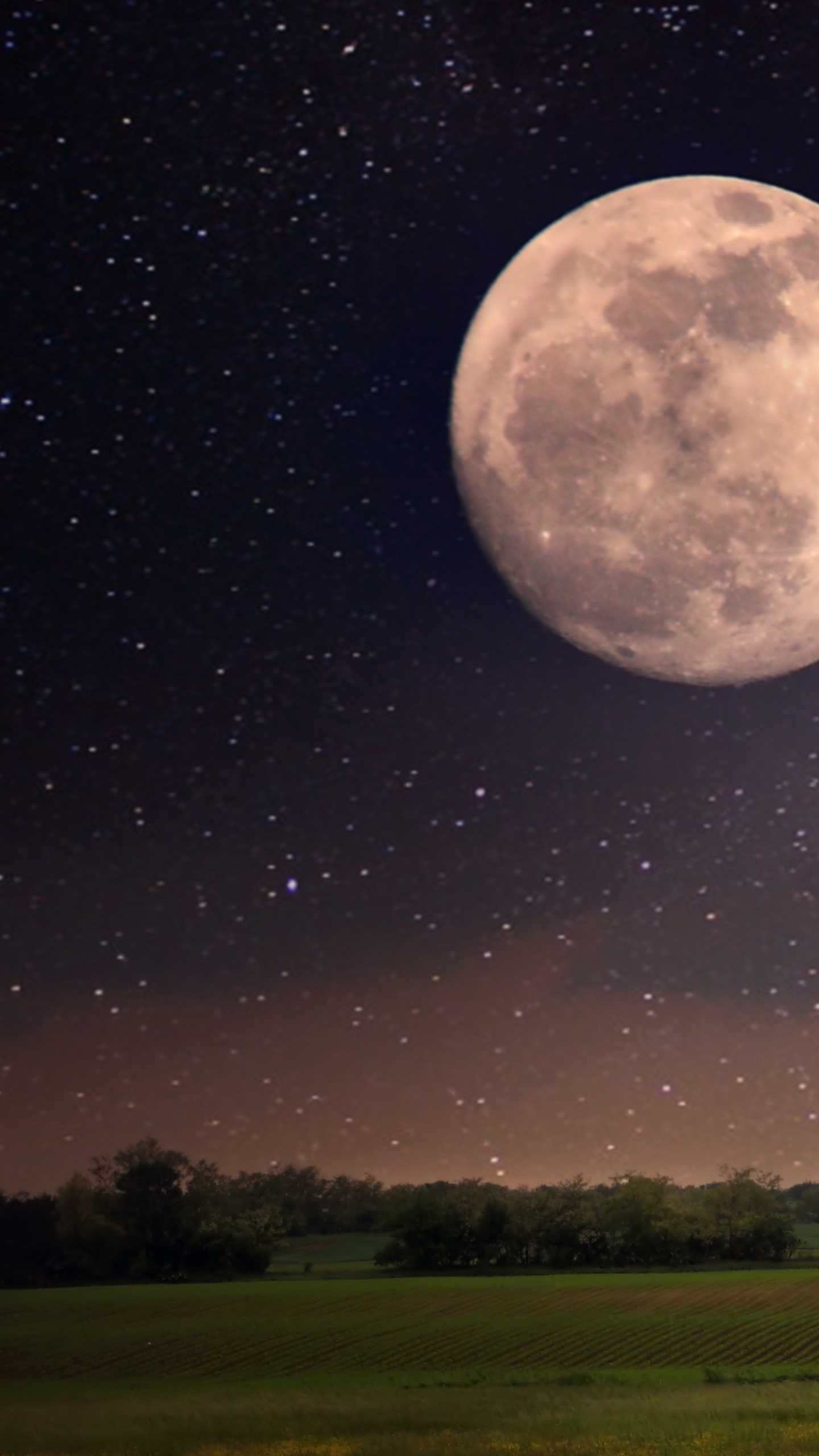 Обои луна, ночь, природа, астрономический объект, лунный свет в разрешении 1440x2560