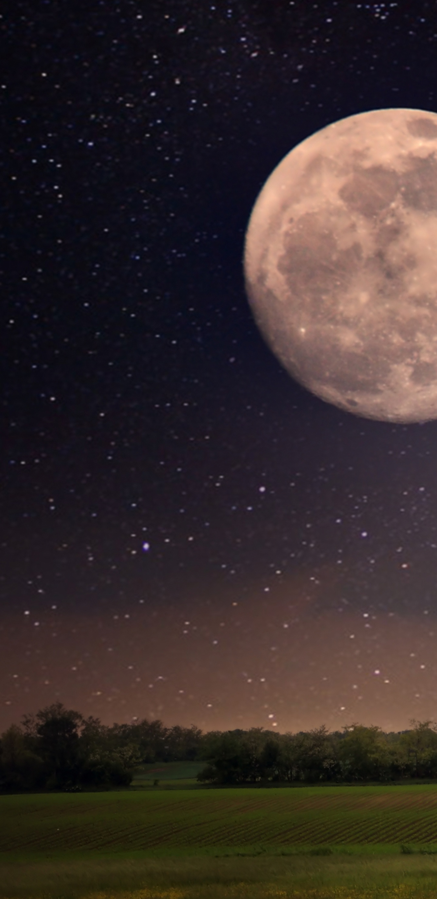 Обои луна, ночь, природа, астрономический объект, лунный свет в разрешении 1440x2960