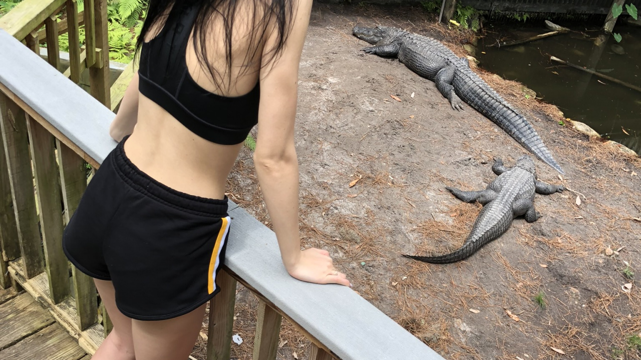 Обои крокодил, одежда, человеческое тело, биология, наука в разрешении 1280x720