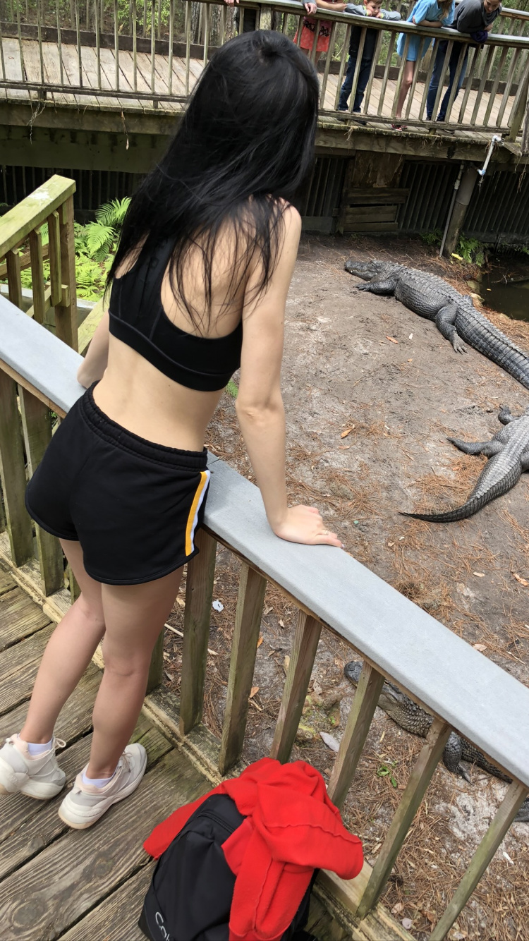 Обои крокодил, одежда, человеческое тело, биология, наука в разрешении 750x1334