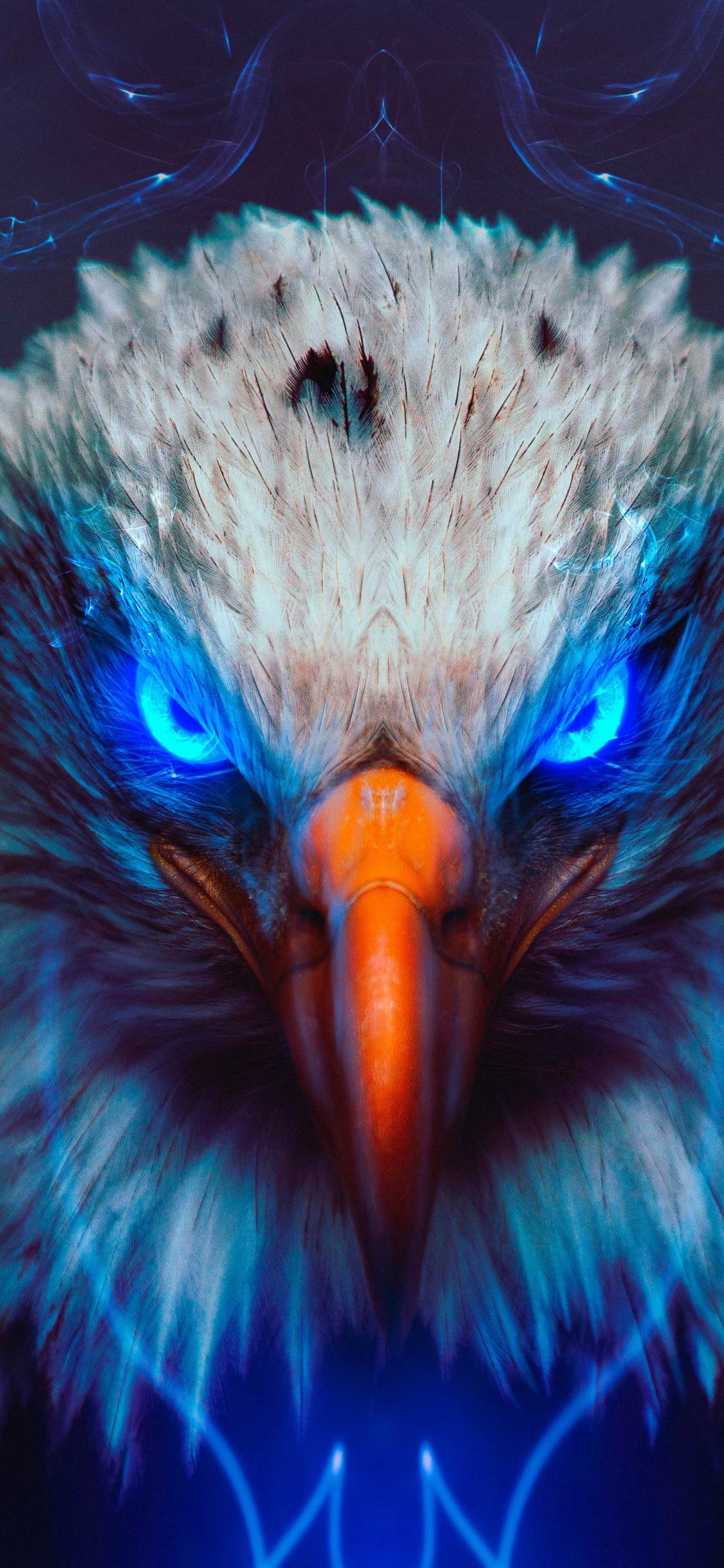 Обои Орел, белоголовый Орлан, золотой Орел, птица, павлин в разрешении 1125x2436