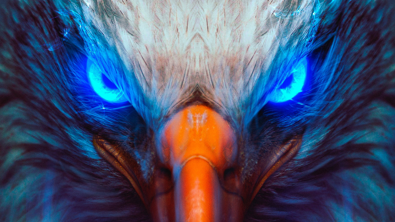 Обои Орел, белоголовый Орлан, золотой Орел, птица, павлин в разрешении 1280x720