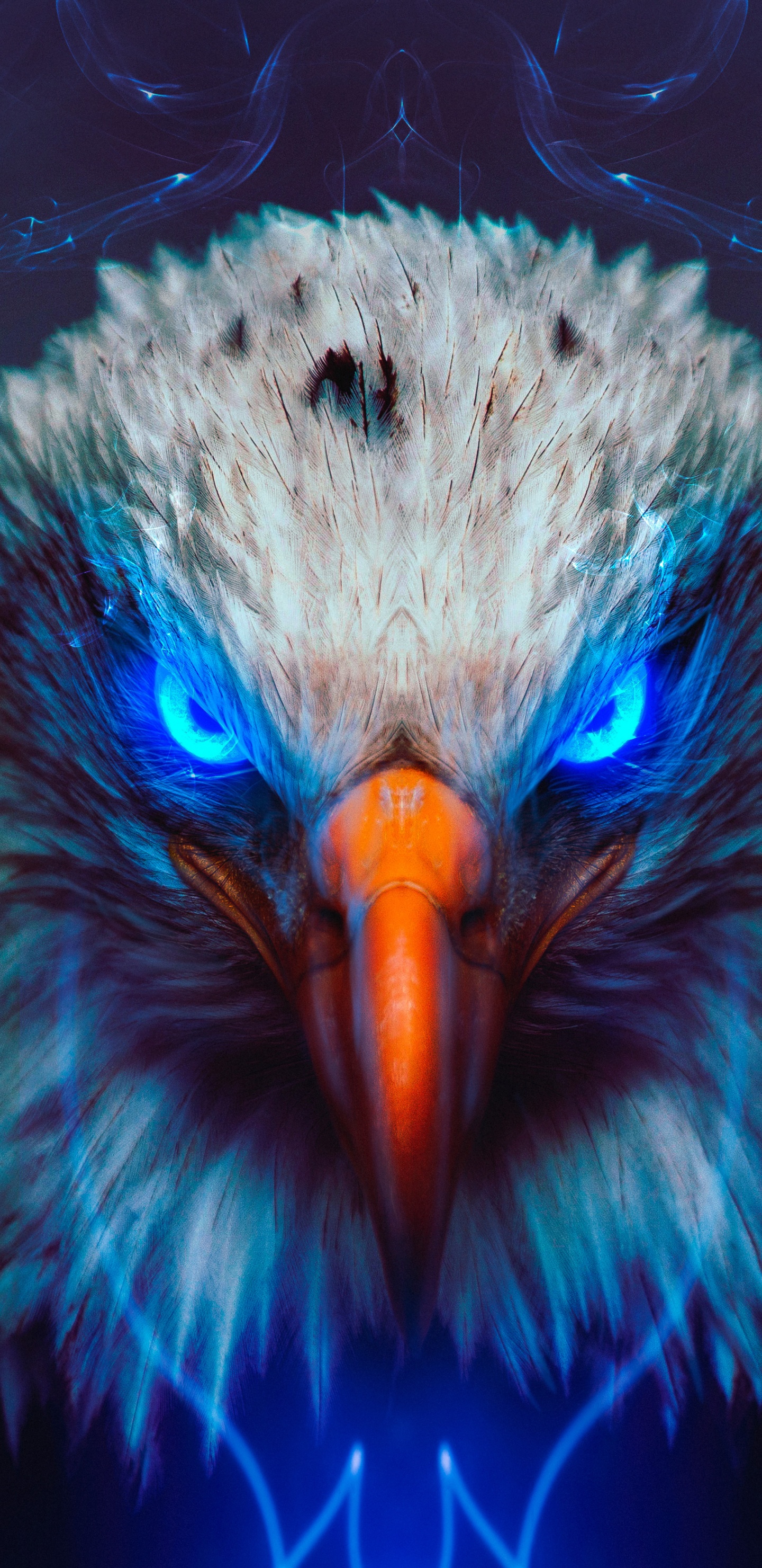 Обои Орел, белоголовый Орлан, золотой Орел, птица, павлин в разрешении 1440x2960