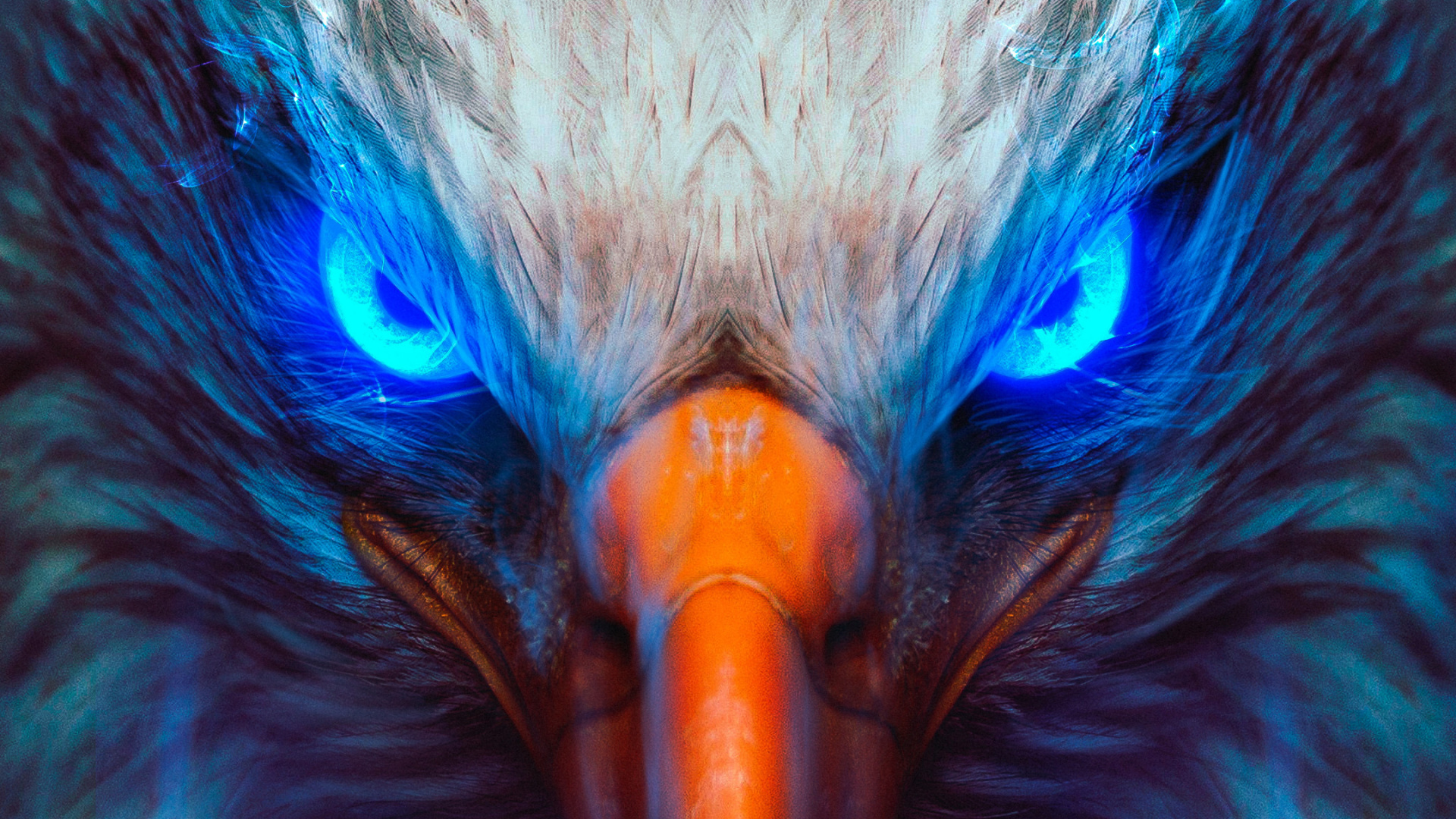 Обои Орел, белоголовый Орлан, золотой Орел, птица, павлин в разрешении 1920x1080