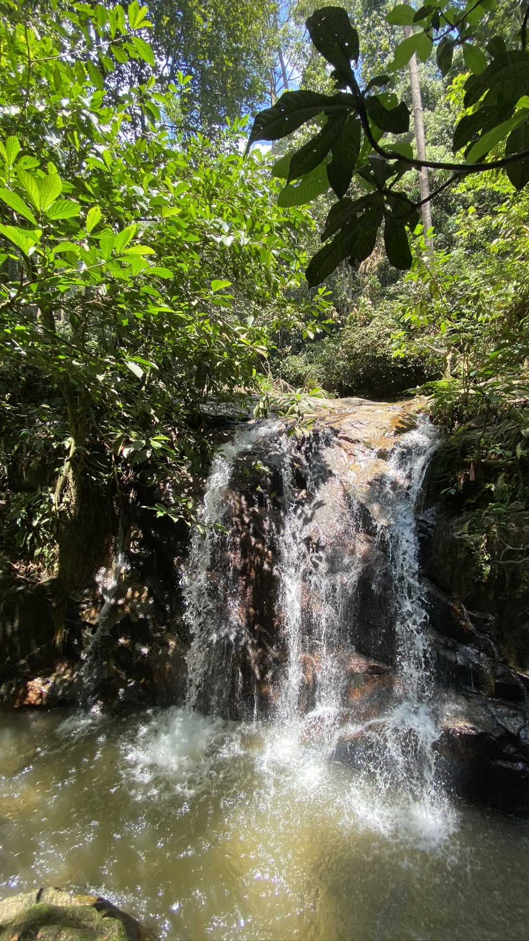 Обои водопад, водоем, растительность, природа, гидроресурсы в разрешении 1080x1920