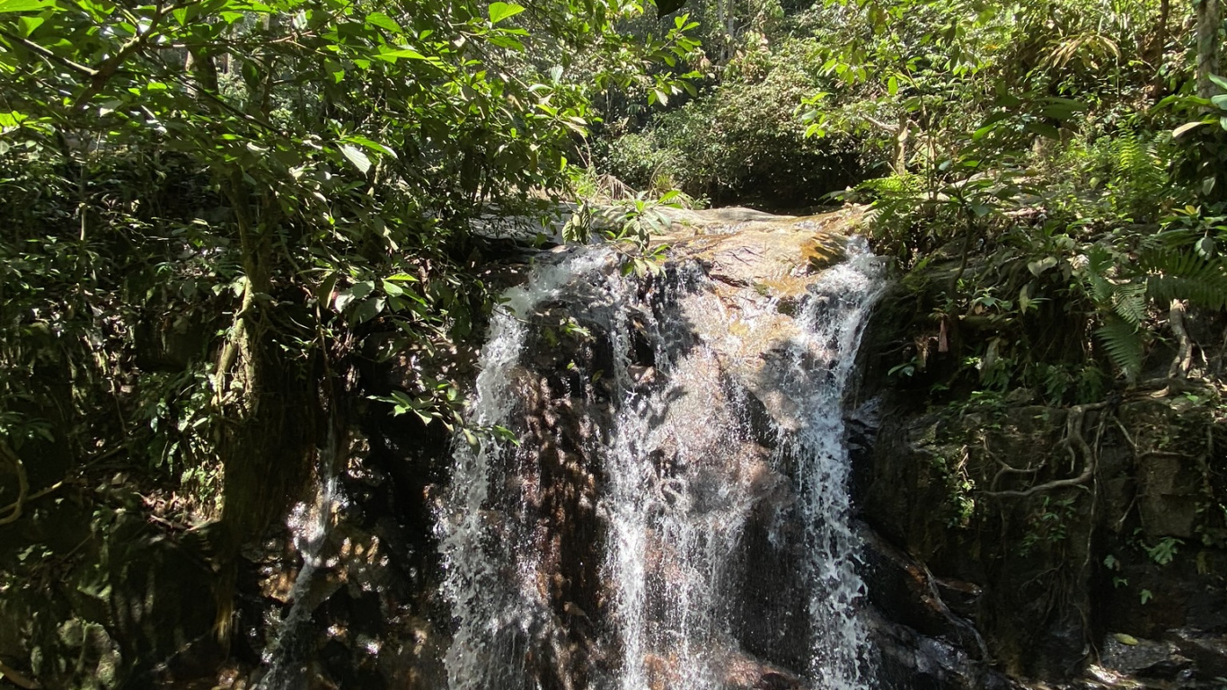 Обои водопад, водоем, растительность, природа, гидроресурсы в разрешении 1366x768