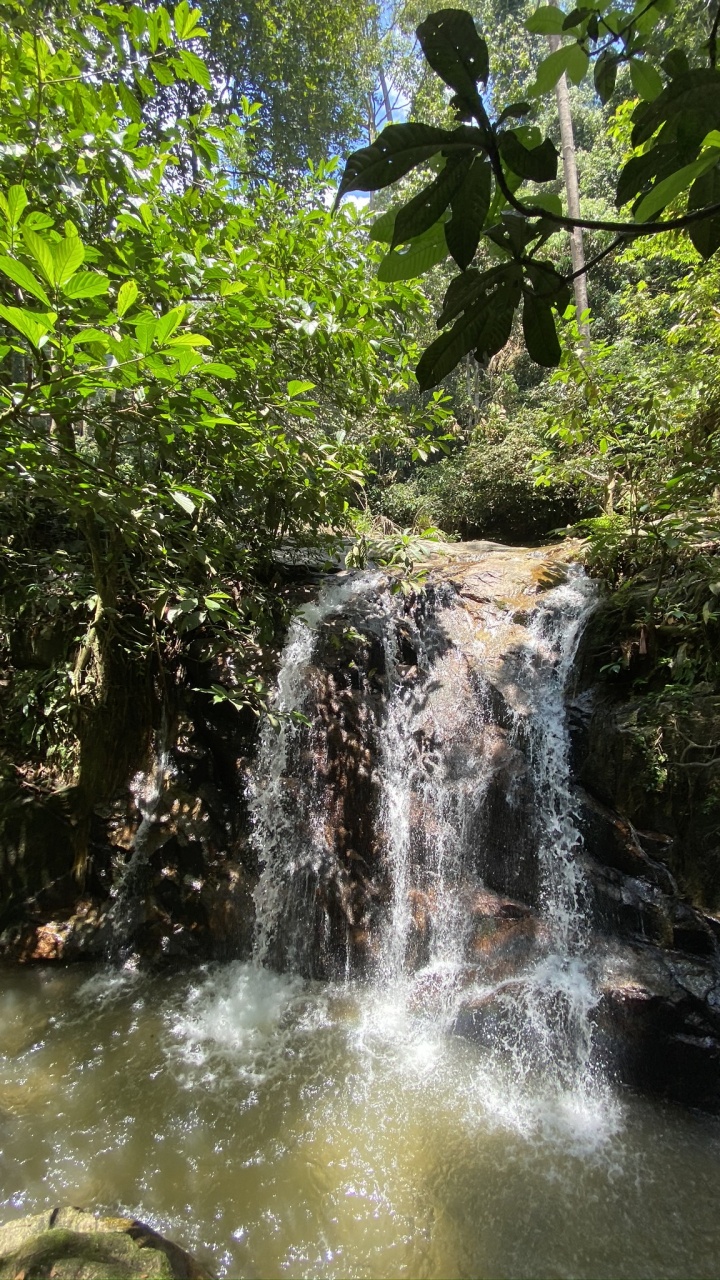 Обои водопад, водоем, растительность, природа, гидроресурсы в разрешении 720x1280