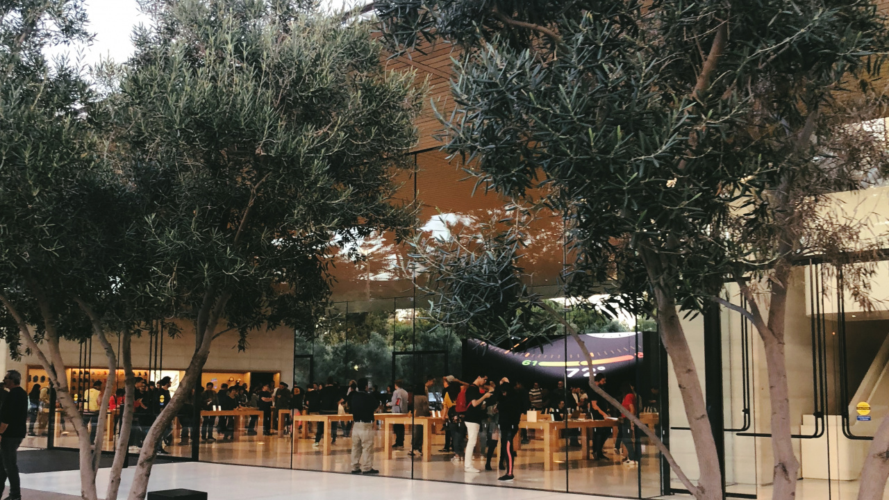 Обои дерево, наука, биология, контейнер для отходов в разрешении 1280x720