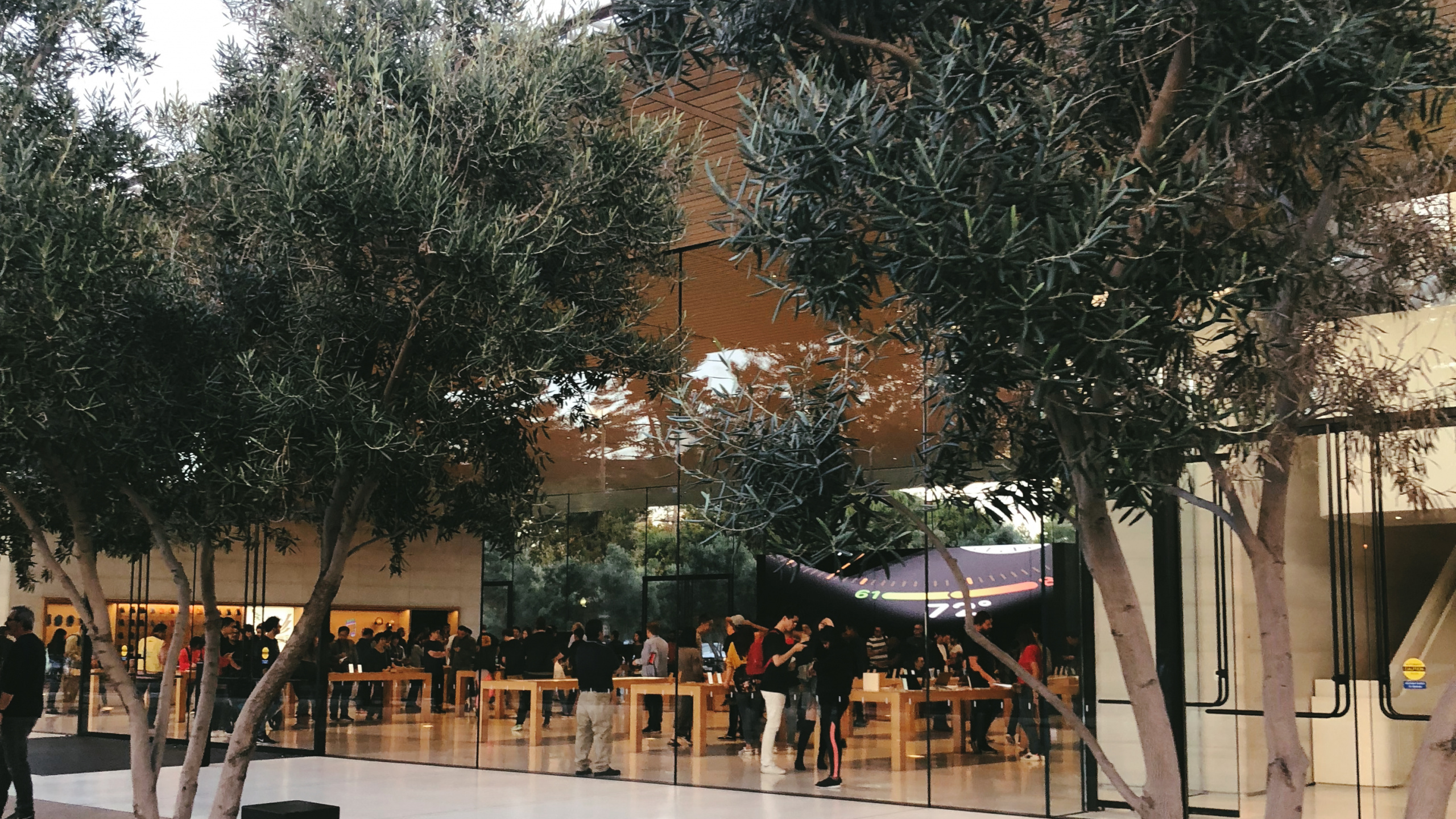 Обои дерево, наука, биология, контейнер для отходов в разрешении 2560x1440