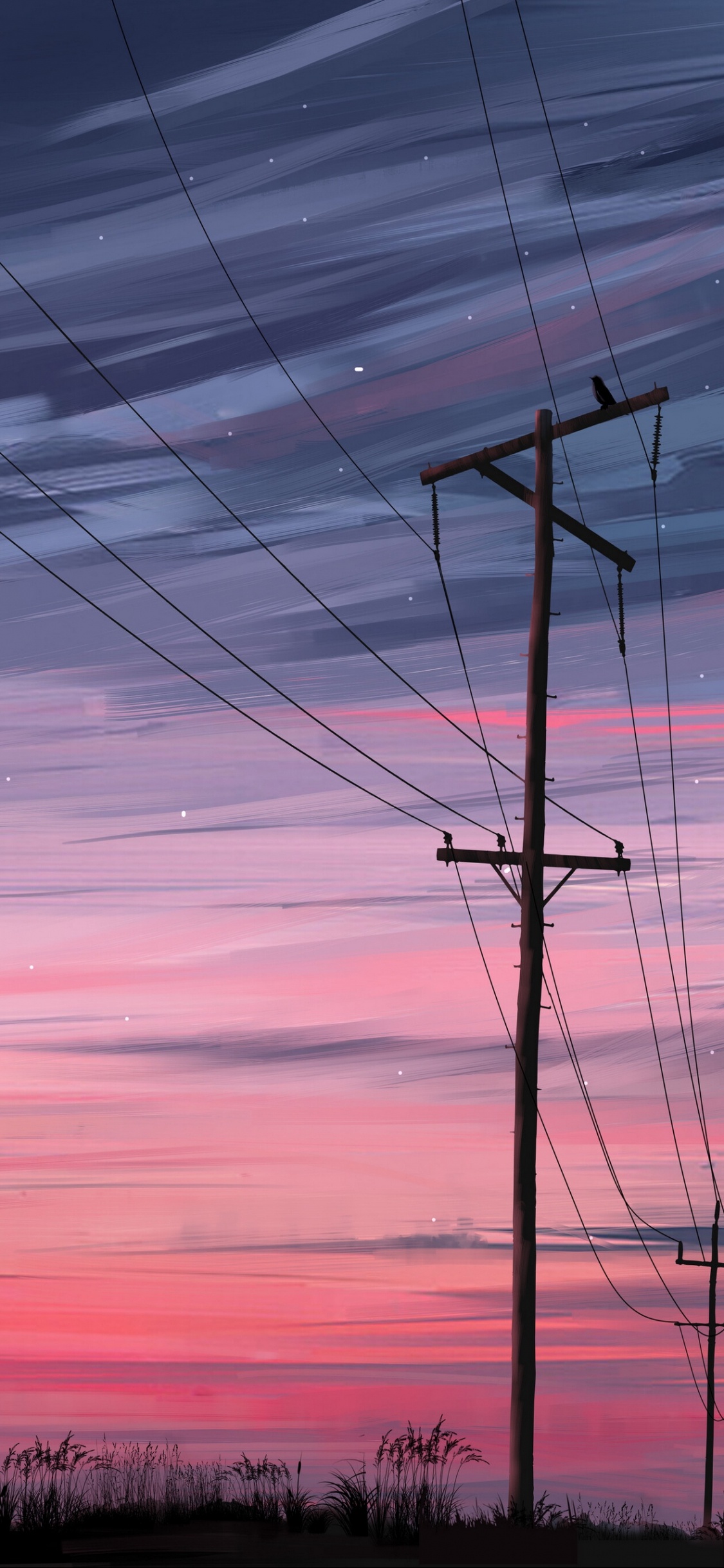 Обои Том Джексон Парк, облако, атмосфера, послесвечение, природа в разрешении 1125x2436