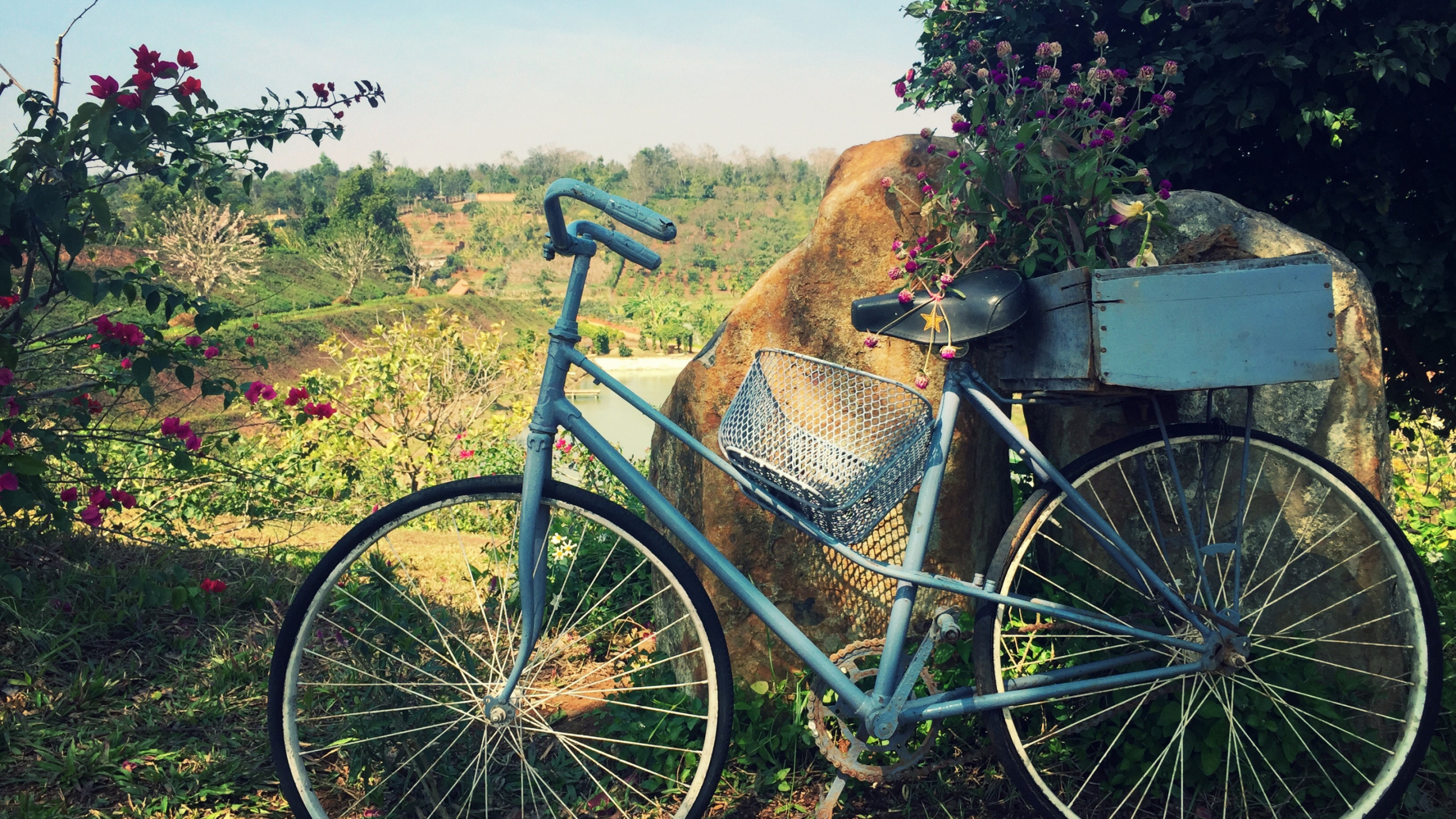 Обои велосипед, цветы, корзина в разрешении 2560x1440