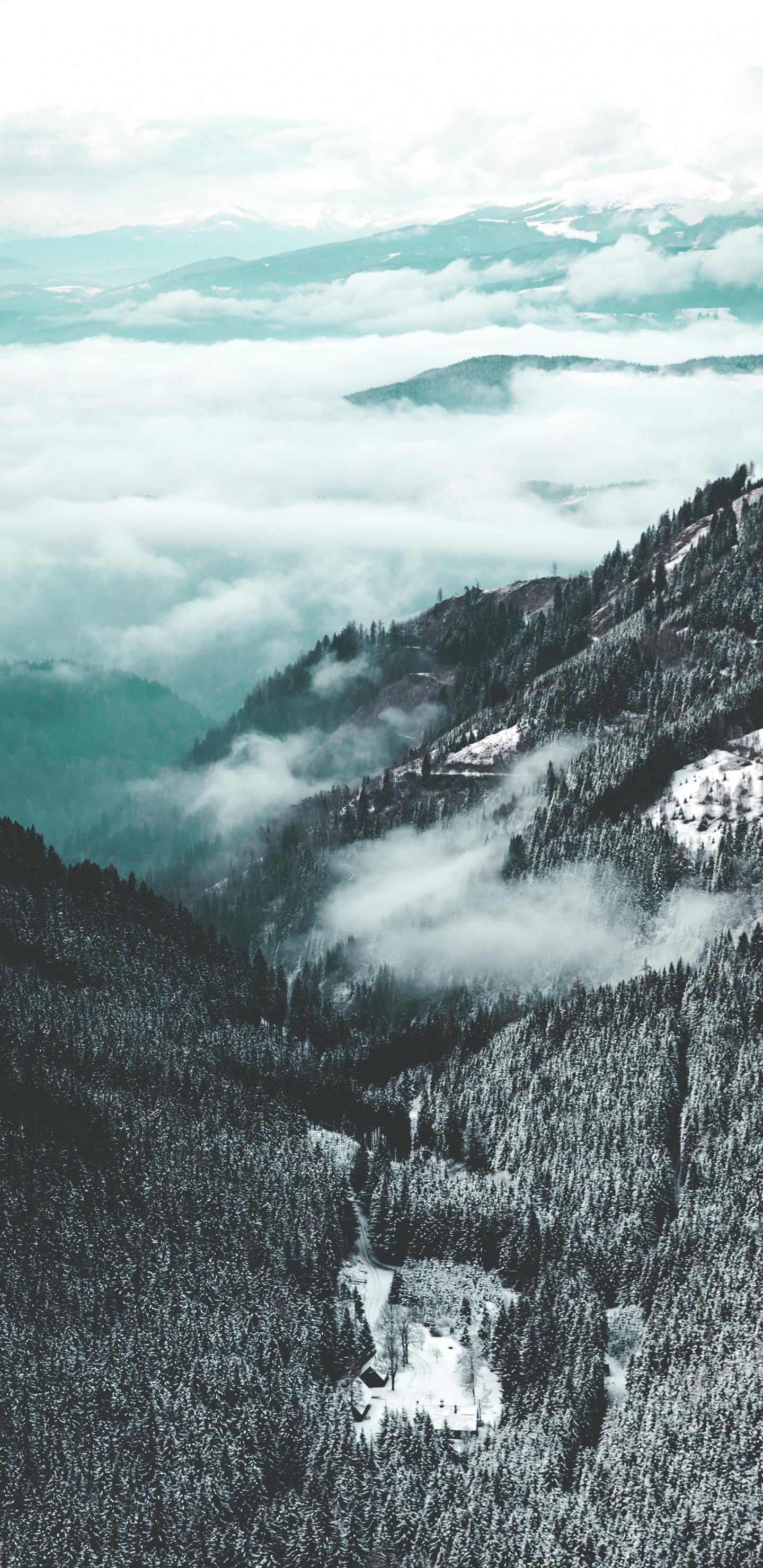 Обои гора, горный рельеф, нагорье, холм, хребет в разрешении 1440x2960