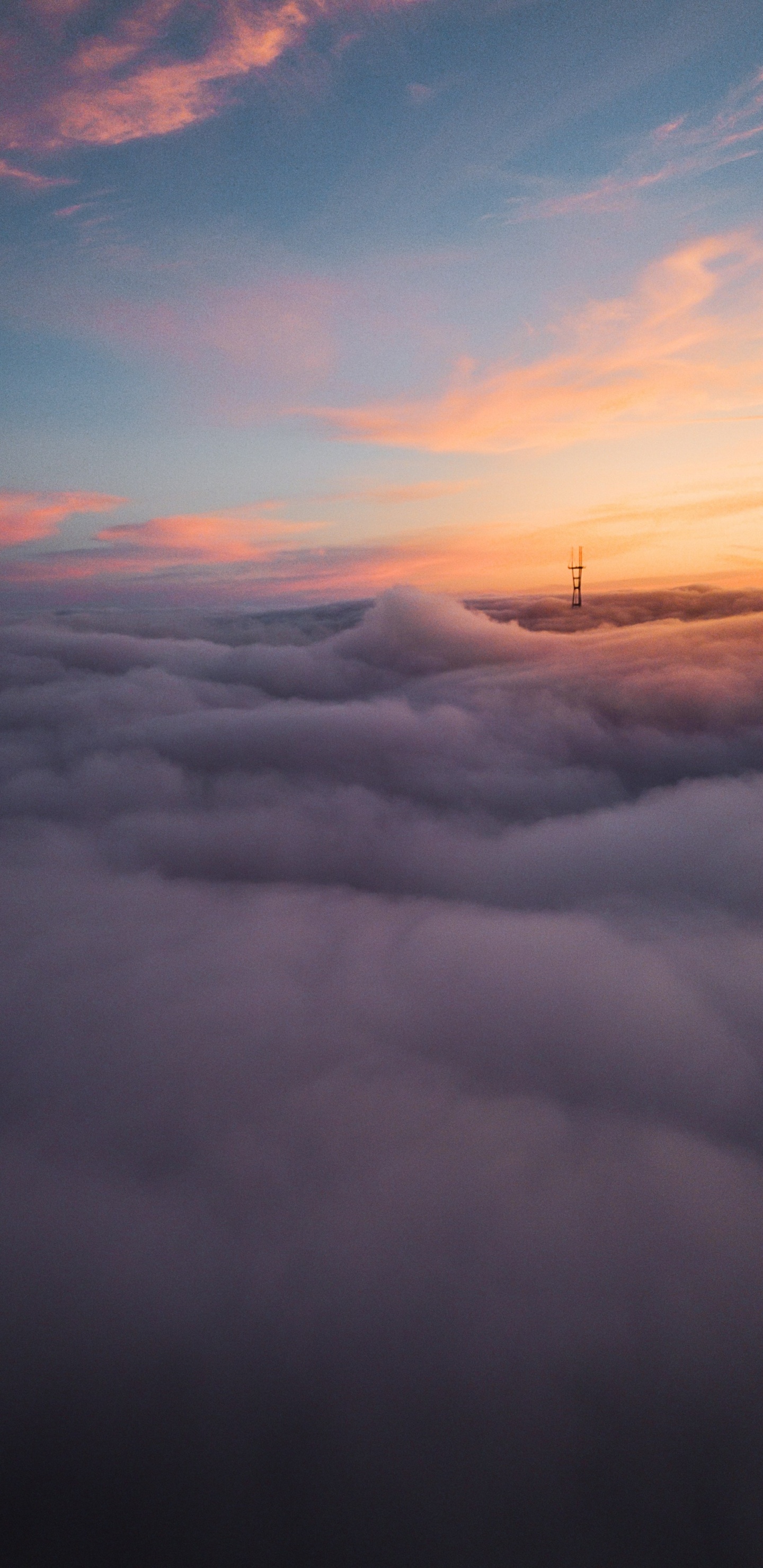 Обои полет, облако, атмосфера, послесвечение, экорегион в разрешении 1440x2960