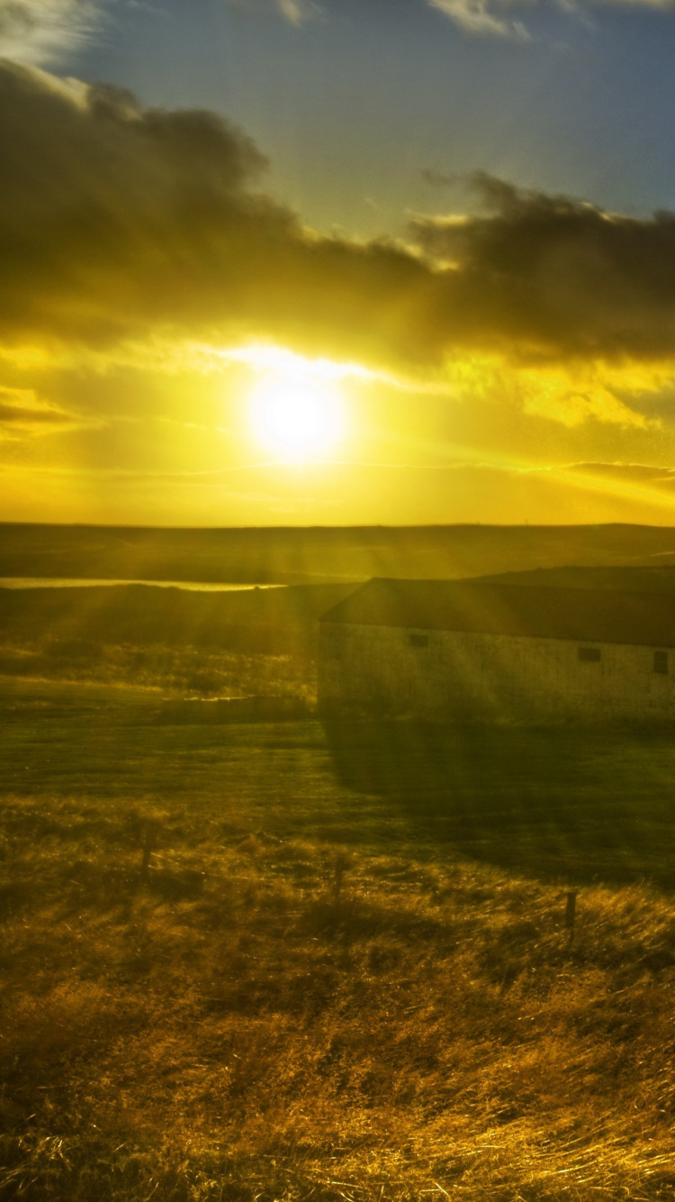 Обои Ферма, сенокосное угодье, солнечный свет, равнина, утро в разрешении 750x1334