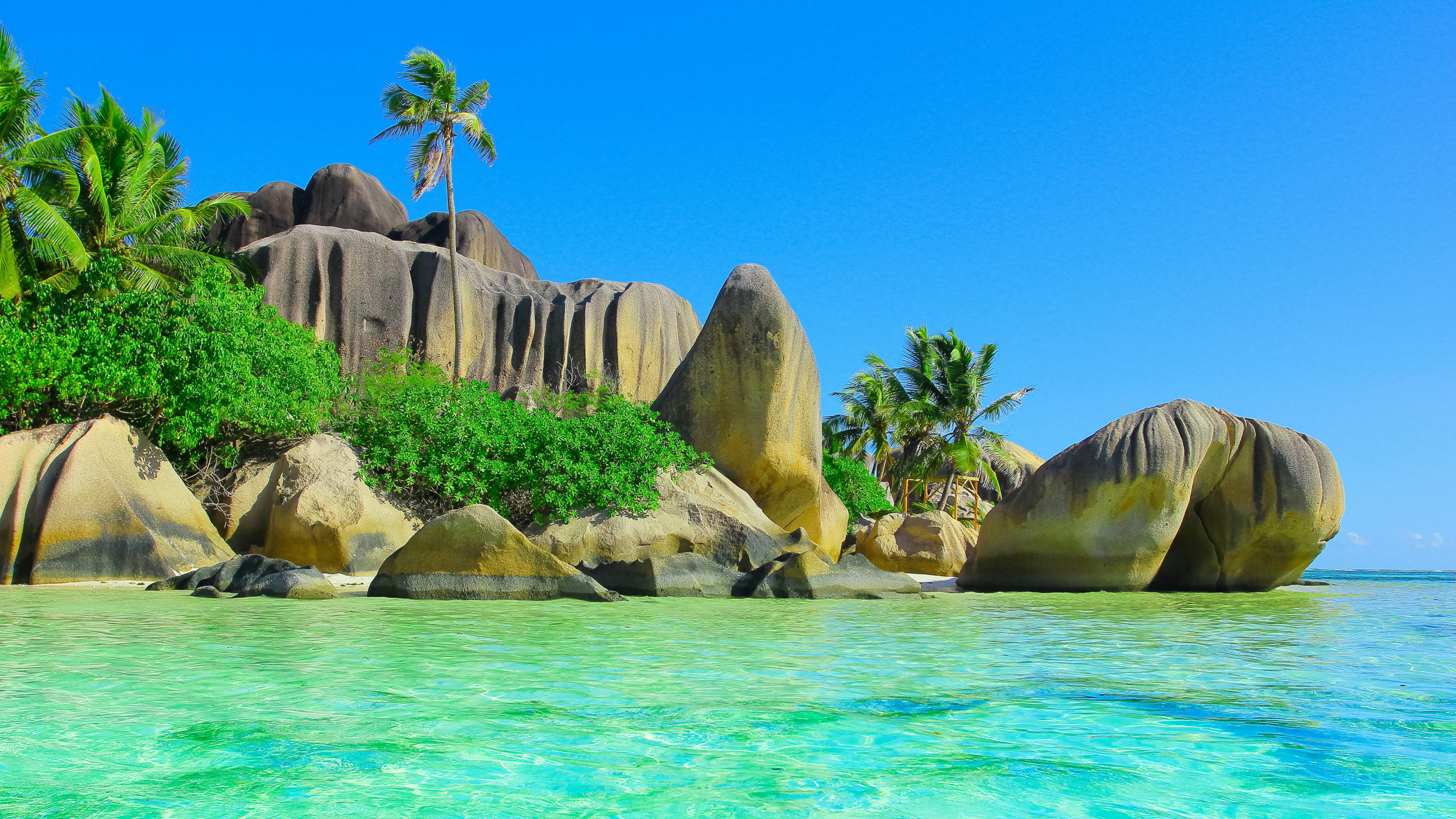 Обои пляж, море, природа, рок, тропическая зона в разрешении 2560x1440