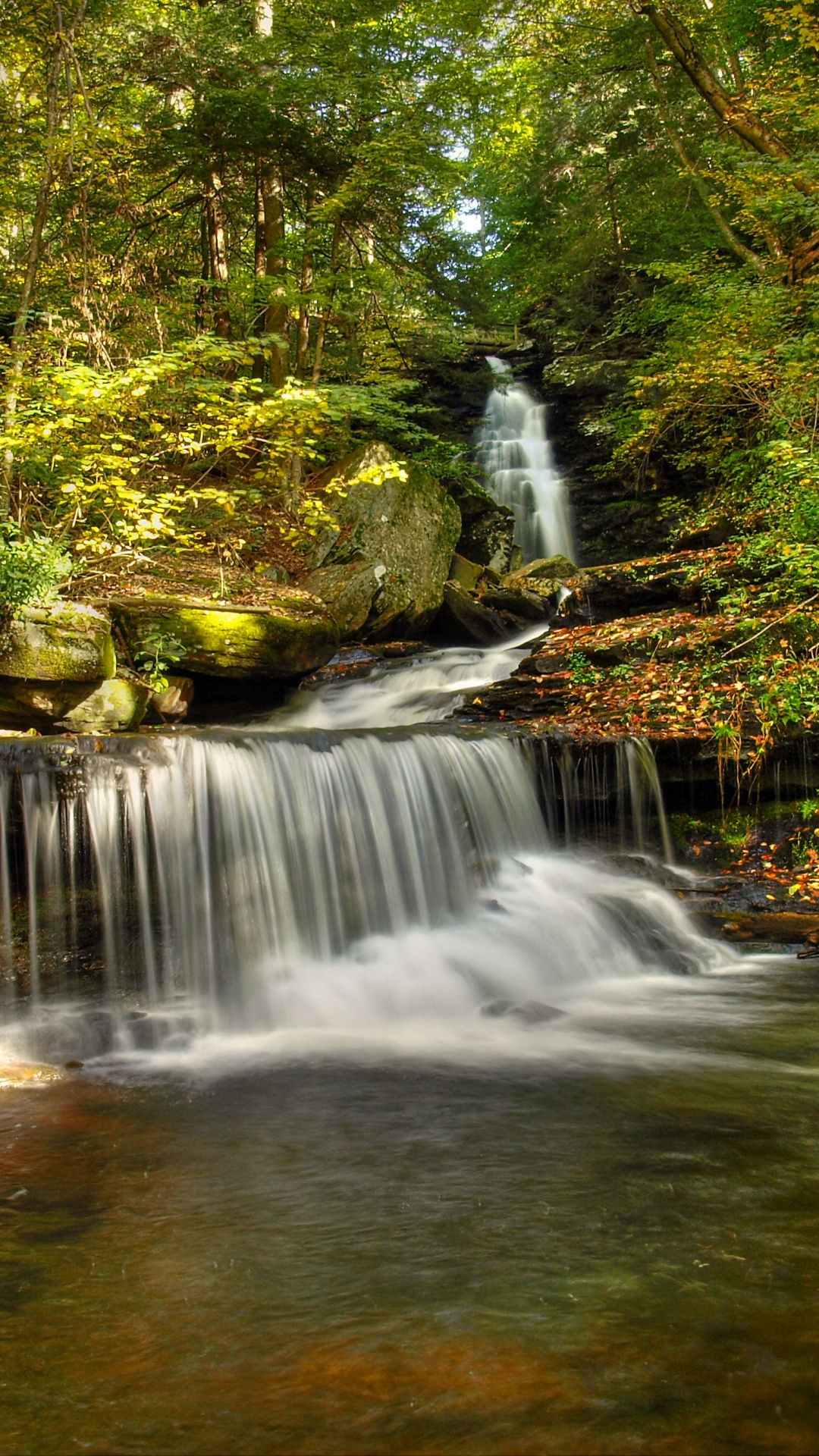 Обои водопад, водоток, природный заповедник, растительность, водоем в разрешении 1080x1920