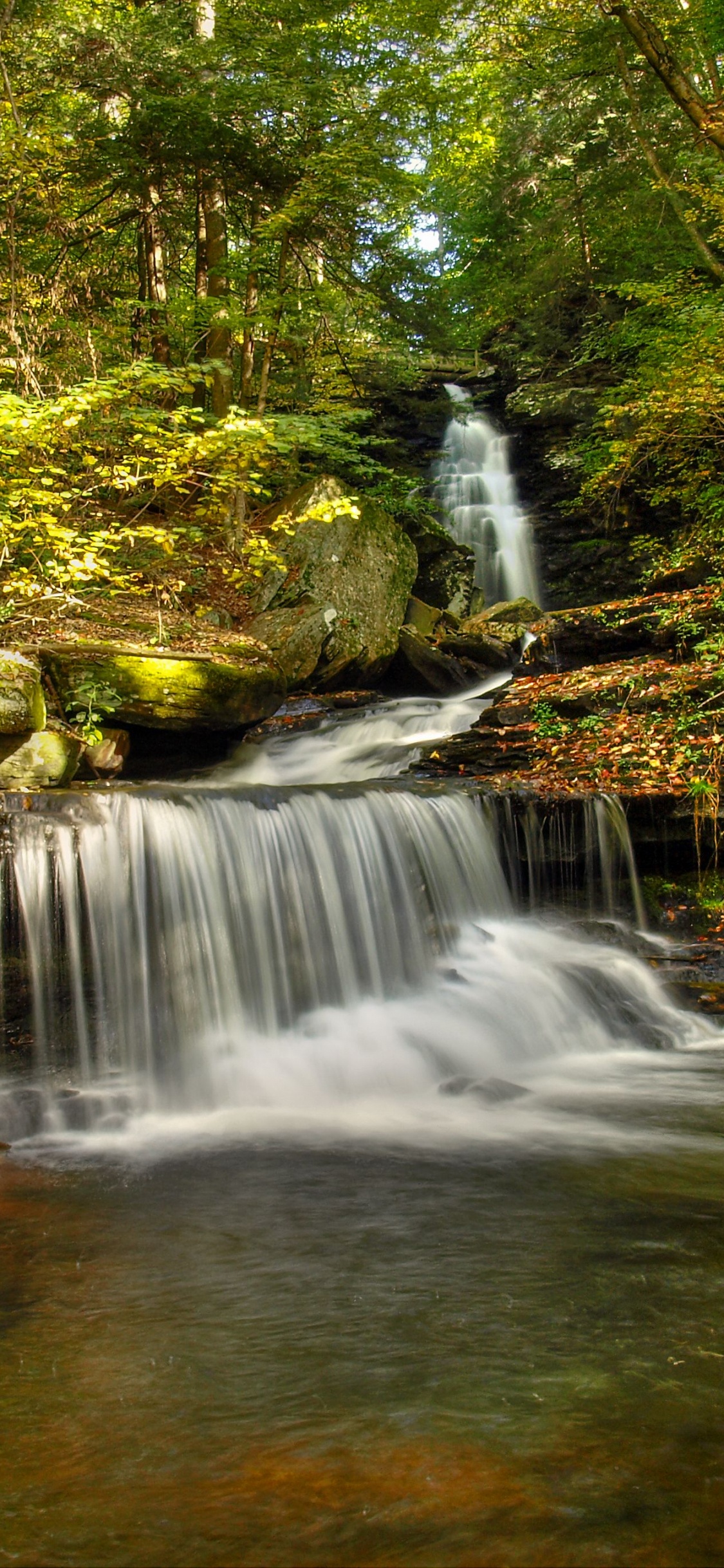 Обои водопад, водоток, природный заповедник, растительность, водоем в разрешении 1125x2436