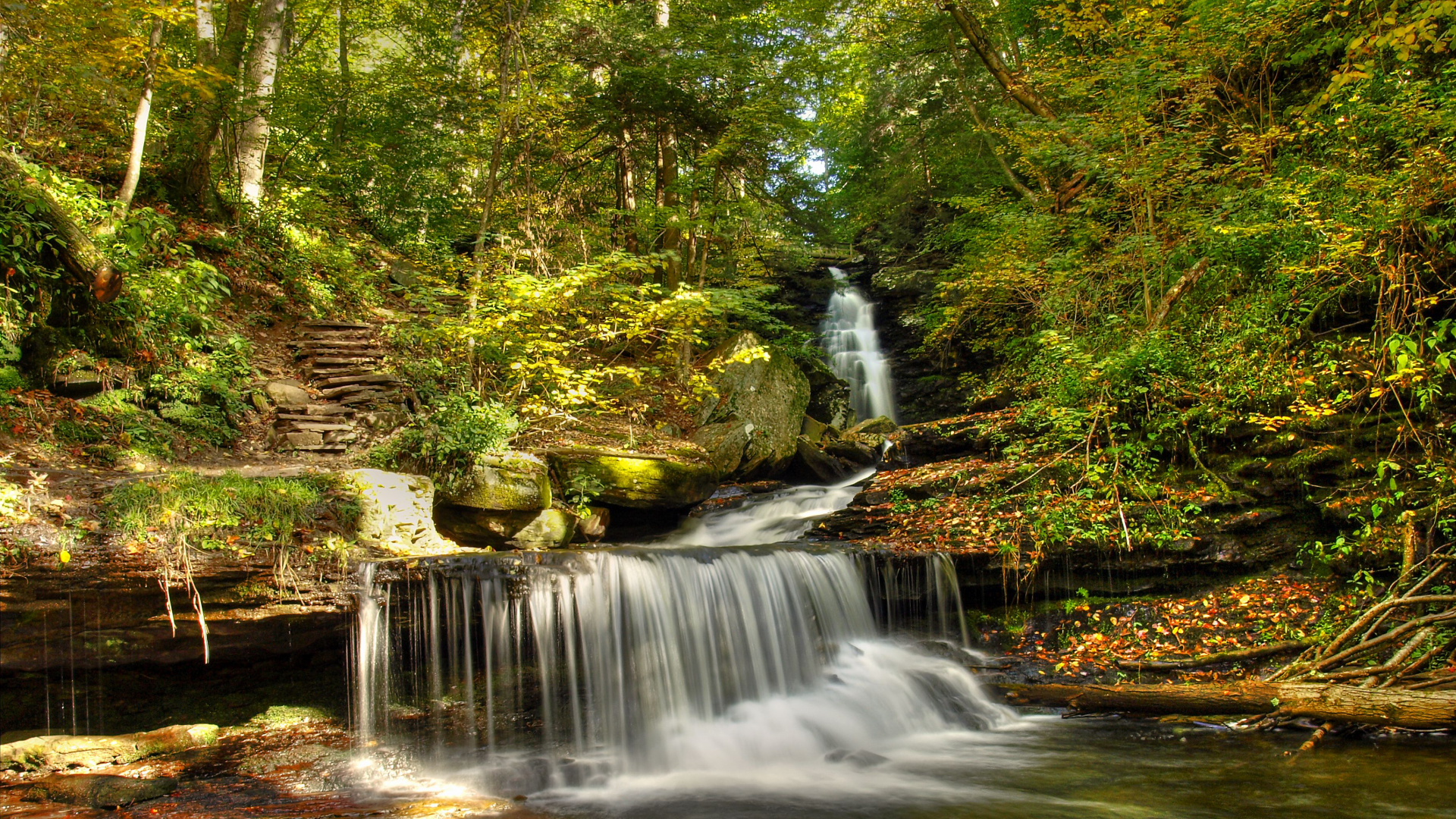 Обои водопад, водоток, природный заповедник, растительность, водоем в разрешении 1920x1080