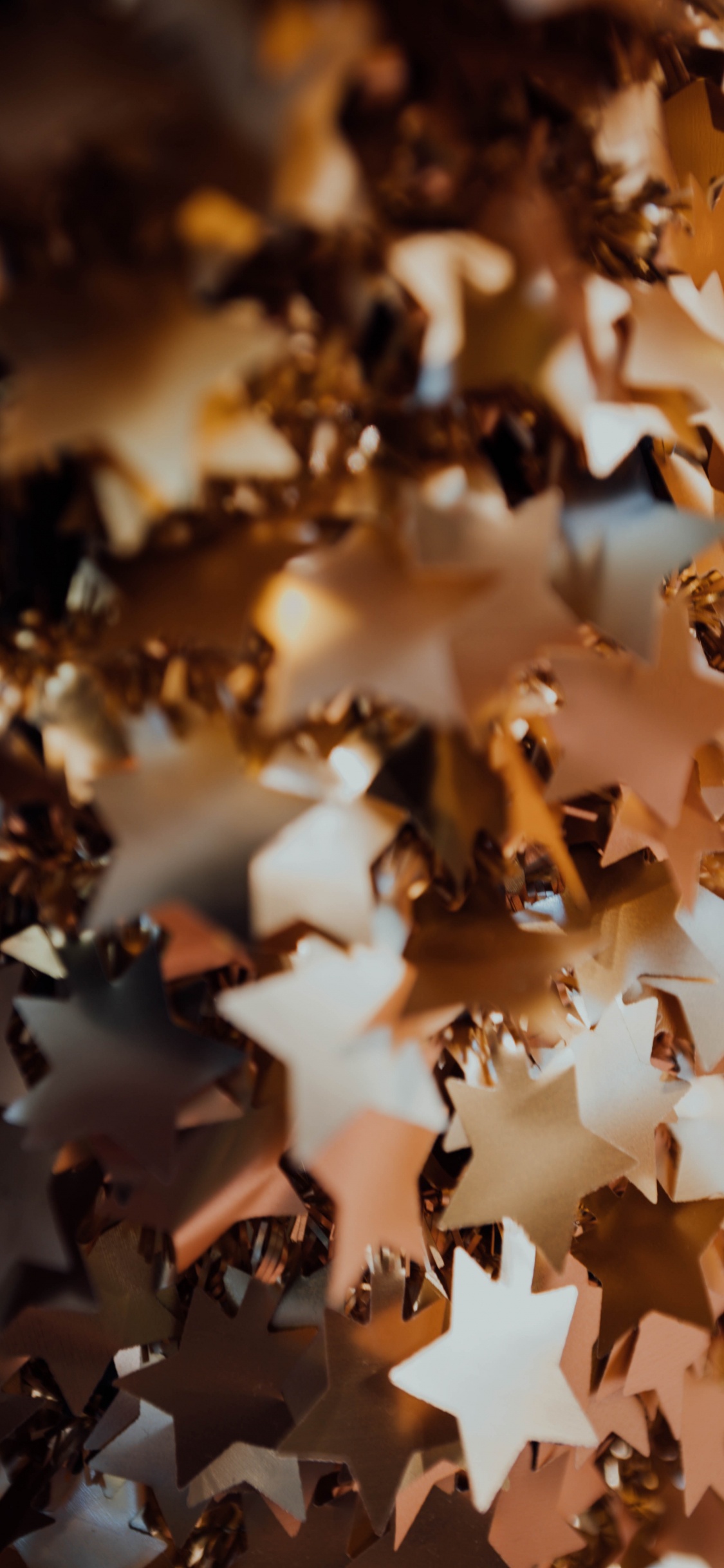 Обои лист, коричневый цвет, дерево, осень, растение в разрешении 1125x2436