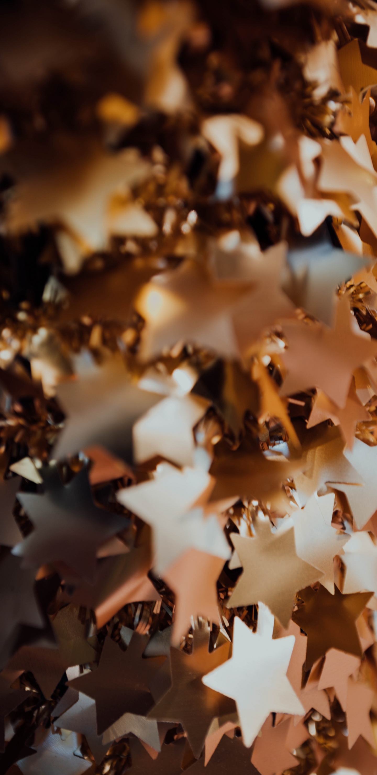 Обои лист, коричневый цвет, дерево, осень, растение в разрешении 1440x2960