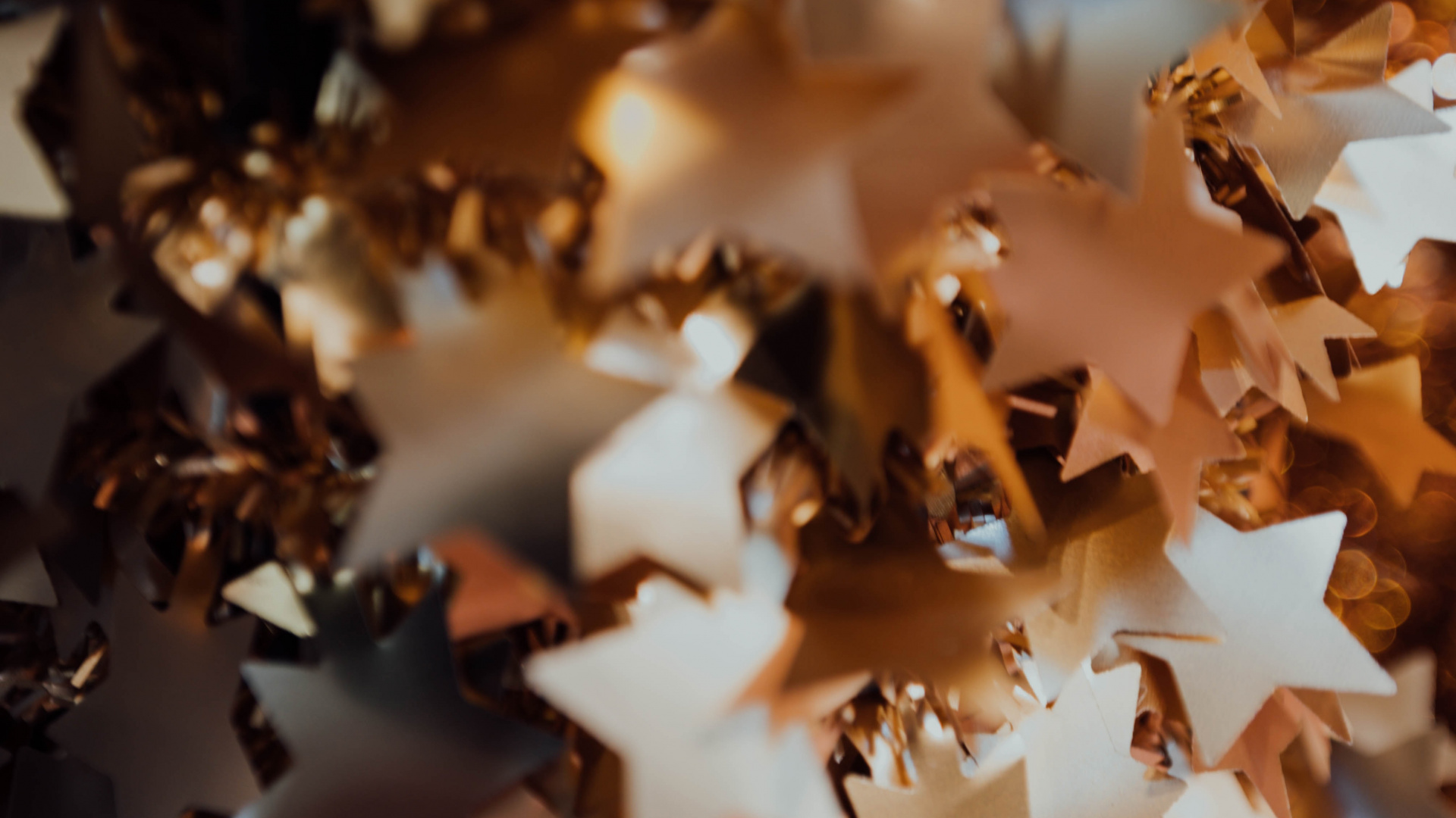 Обои лист, коричневый цвет, дерево, осень, растение в разрешении 1920x1080