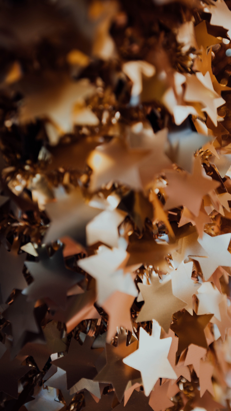 Обои лист, коричневый цвет, дерево, осень, растение в разрешении 750x1334