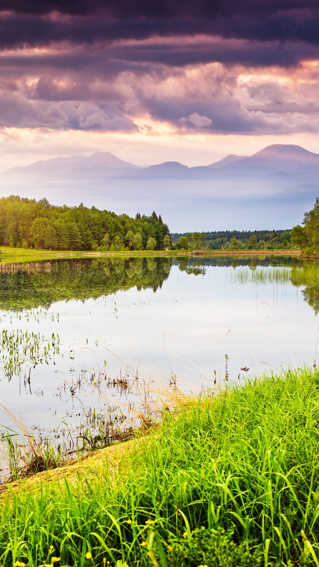 Обои природа, отражение, вода, гидроресурсы, природный заповедник в разрешении 1080x1920