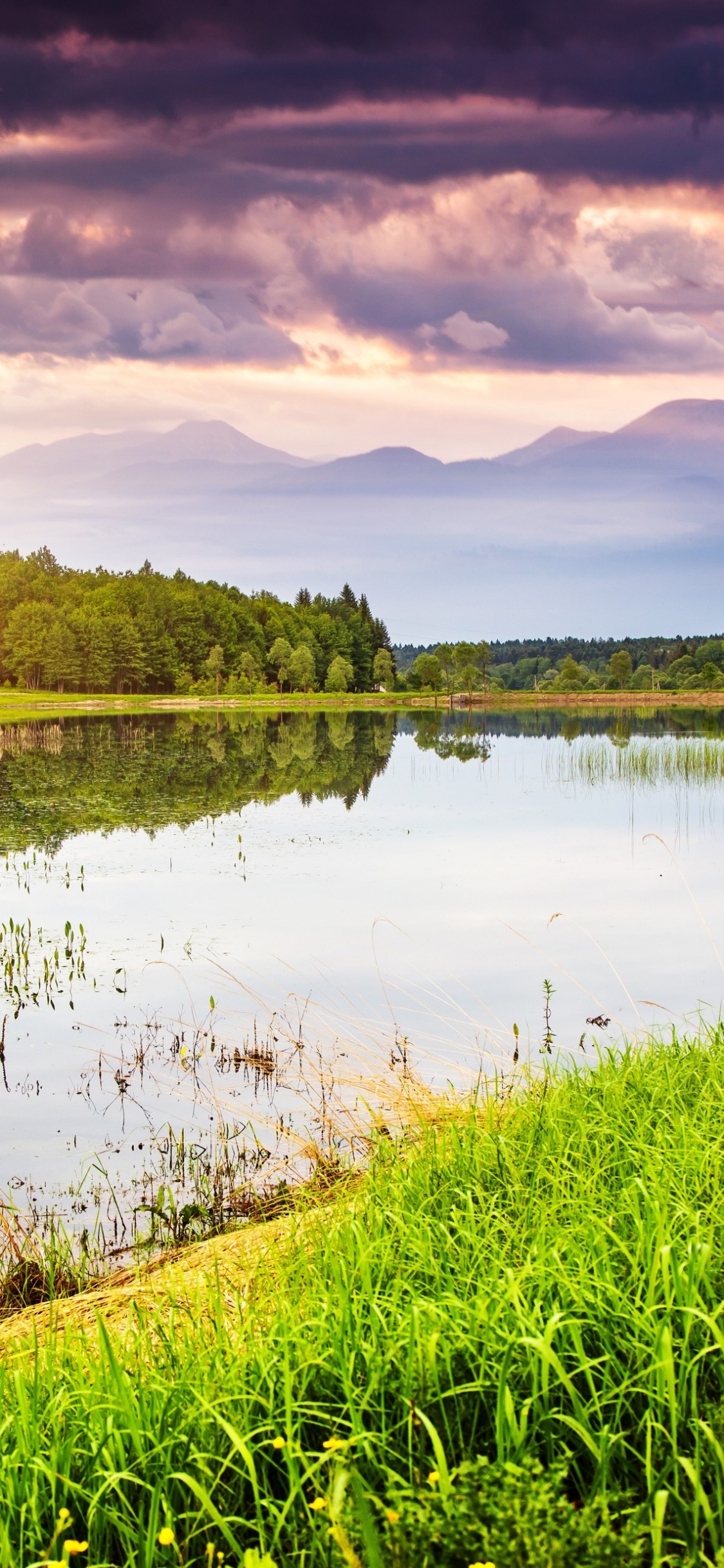 Обои природа, отражение, вода, гидроресурсы, природный заповедник в разрешении 1125x2436